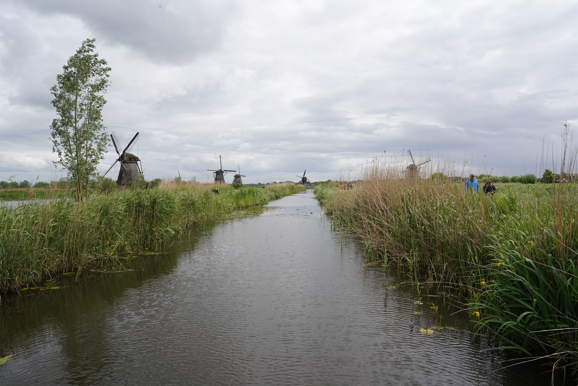 Netherland Werelderfgoed Kinderdijk (104) Netherland Werelderfgoed Kinderdijk (104)