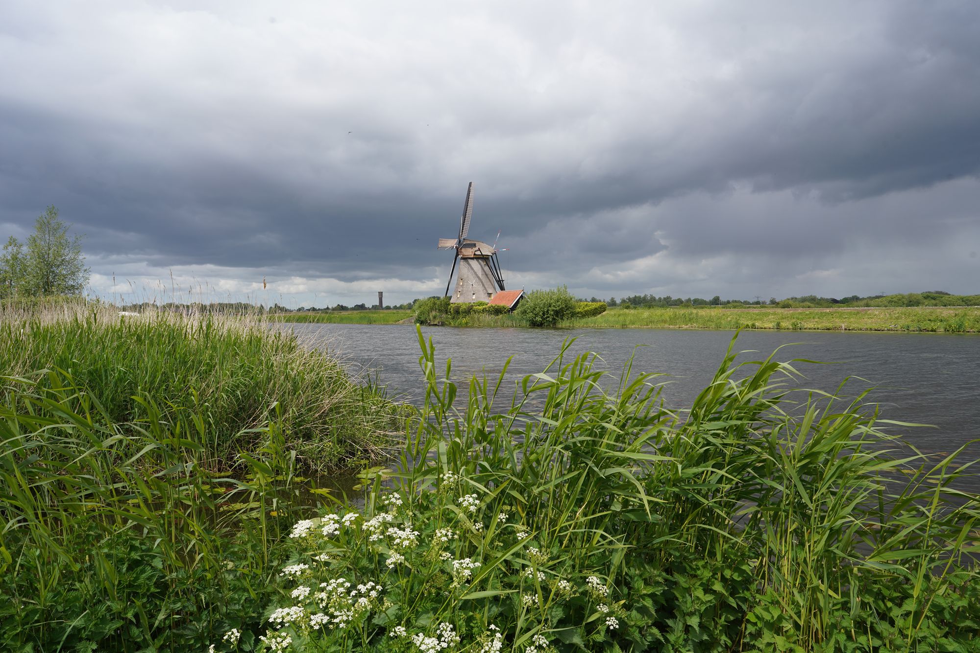 Netherland Werelderfgoed Kinderdijk (106) Netherland Werelderfgoed Kinderdijk (106)