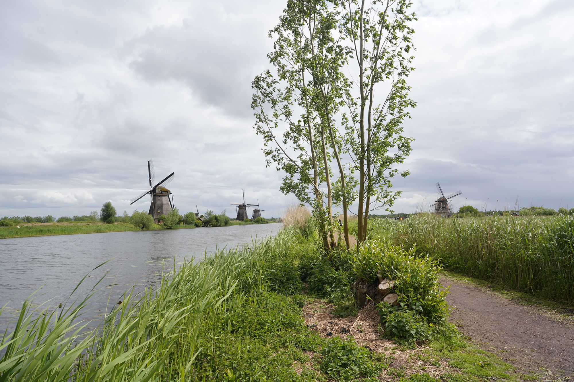 Netherland Werelderfgoed Kinderdijk (107) Netherland Werelderfgoed Kinderdijk (107)