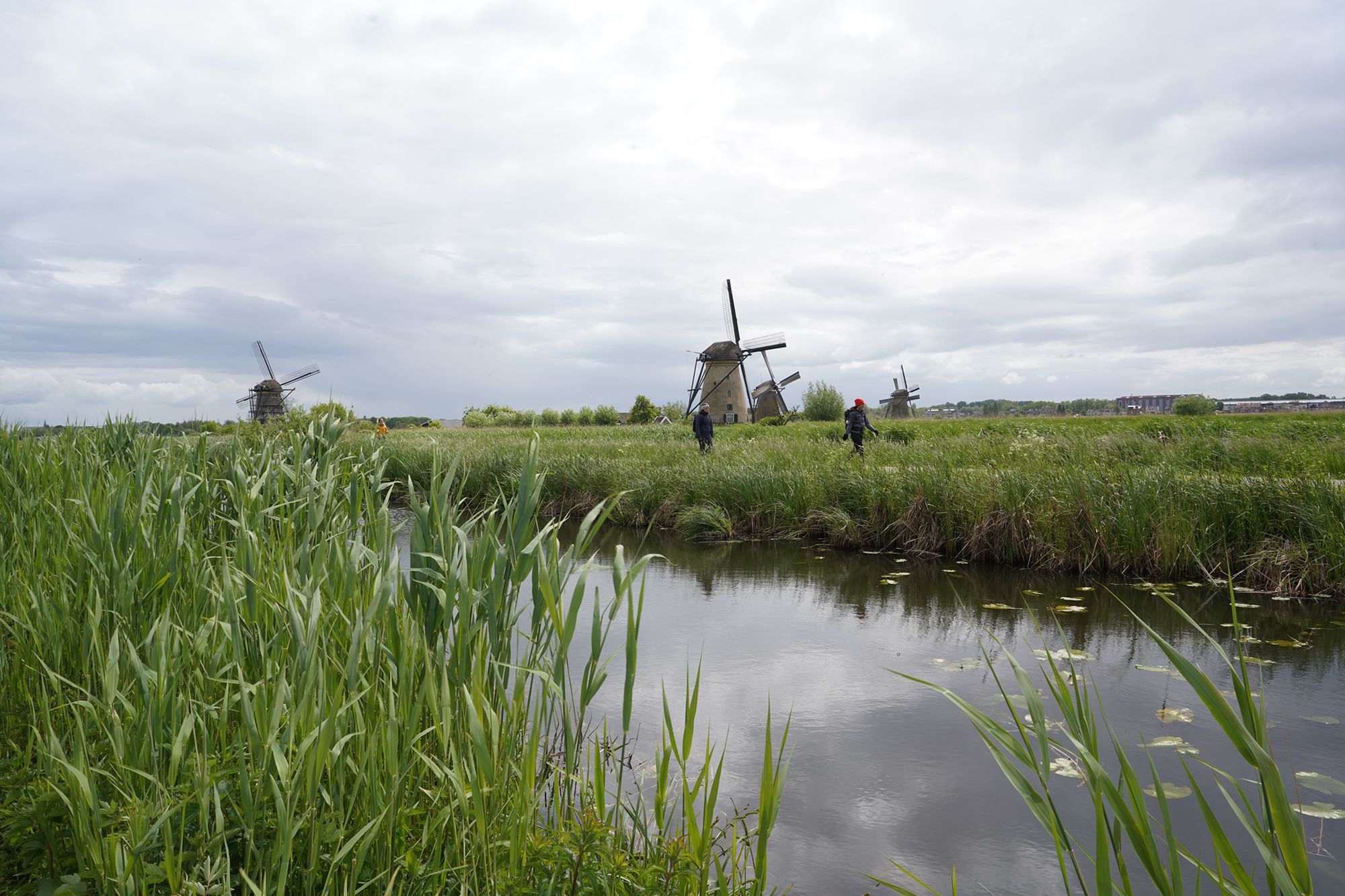 Netherland Werelderfgoed Kinderdijk (109) Netherland Werelderfgoed Kinderdijk (109)