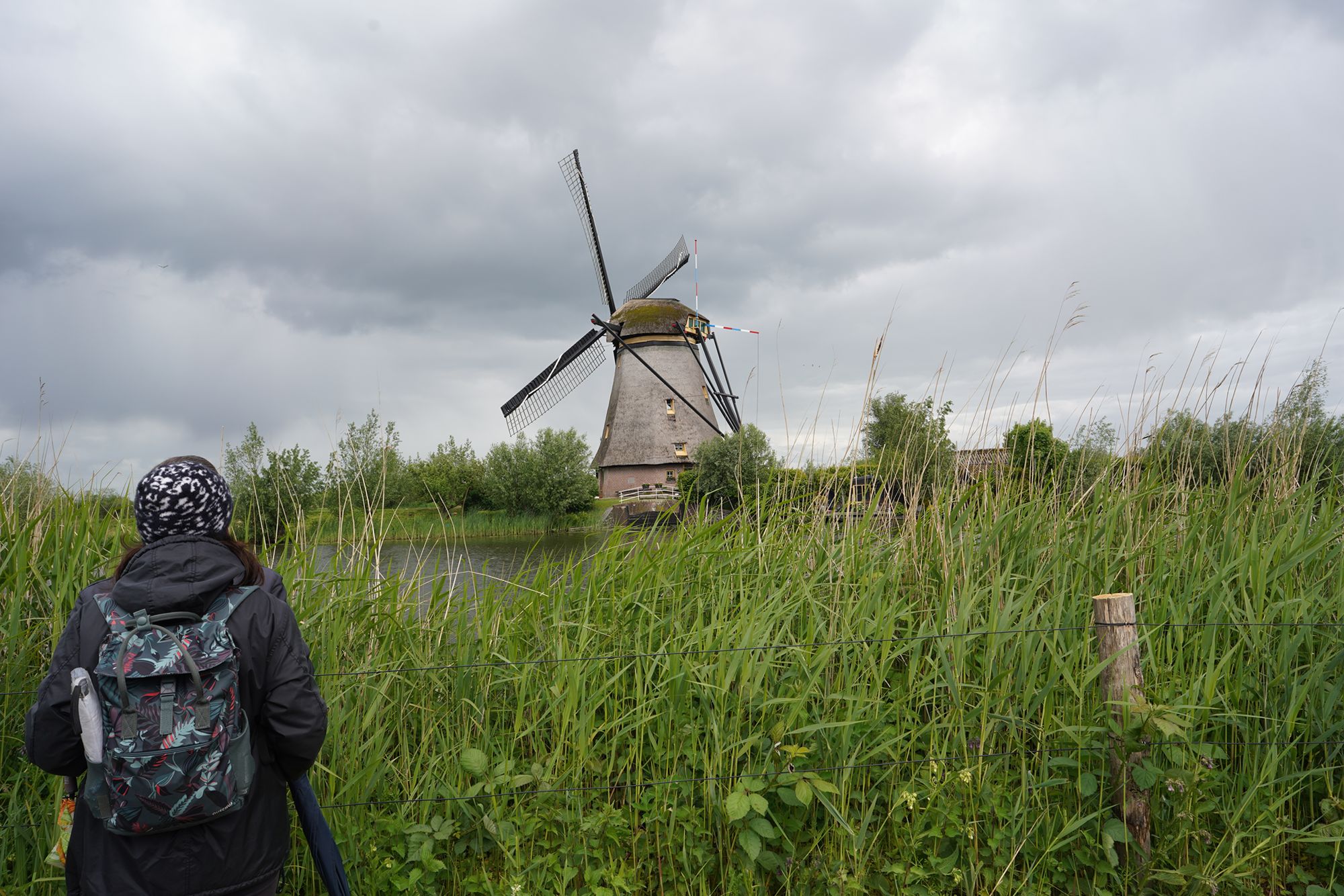 Netherland Werelderfgoed Kinderdijk (113) Netherland Werelderfgoed Kinderdijk (113)