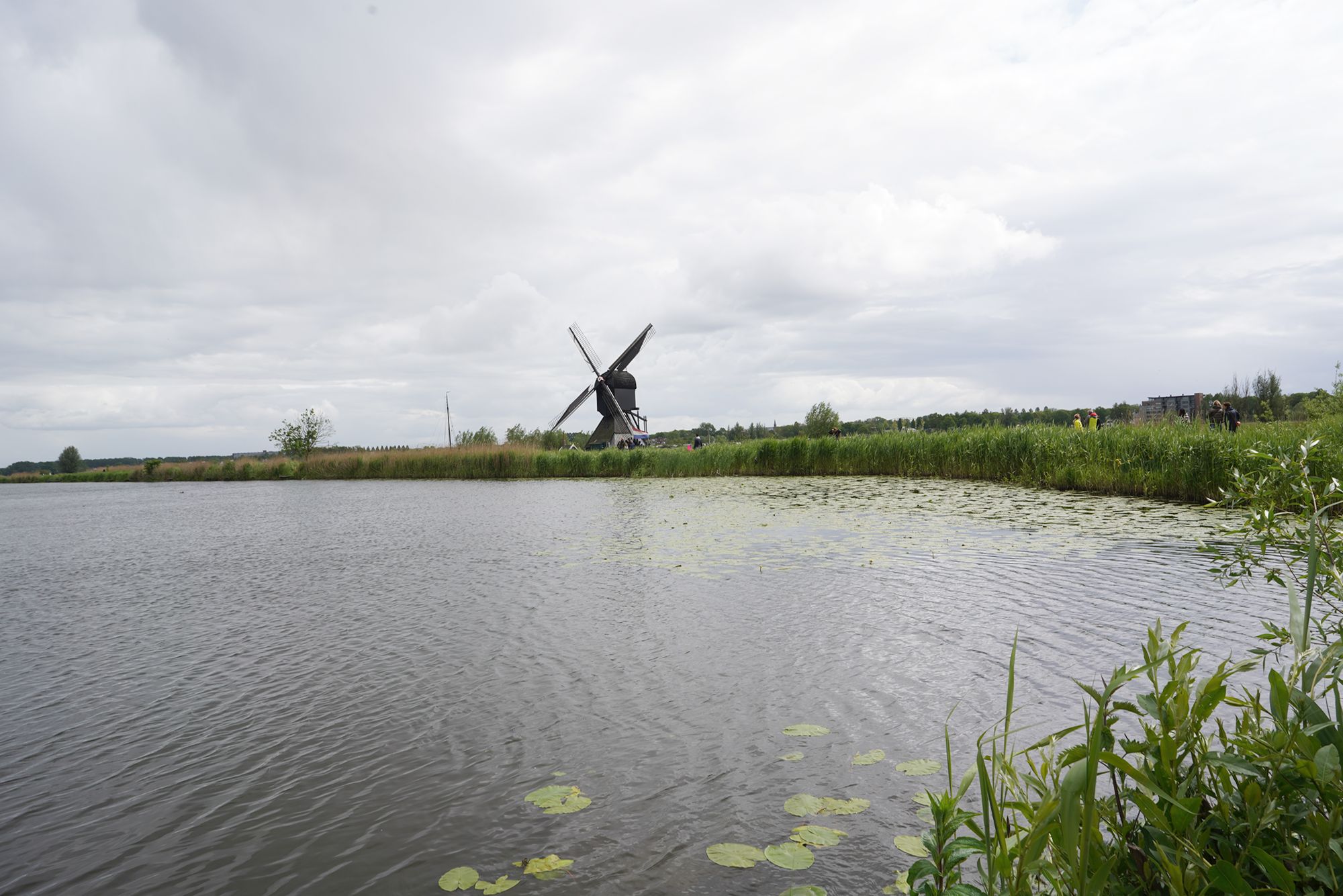 Netherland Werelderfgoed Kinderdijk (118) Netherland Werelderfgoed Kinderdijk (118)