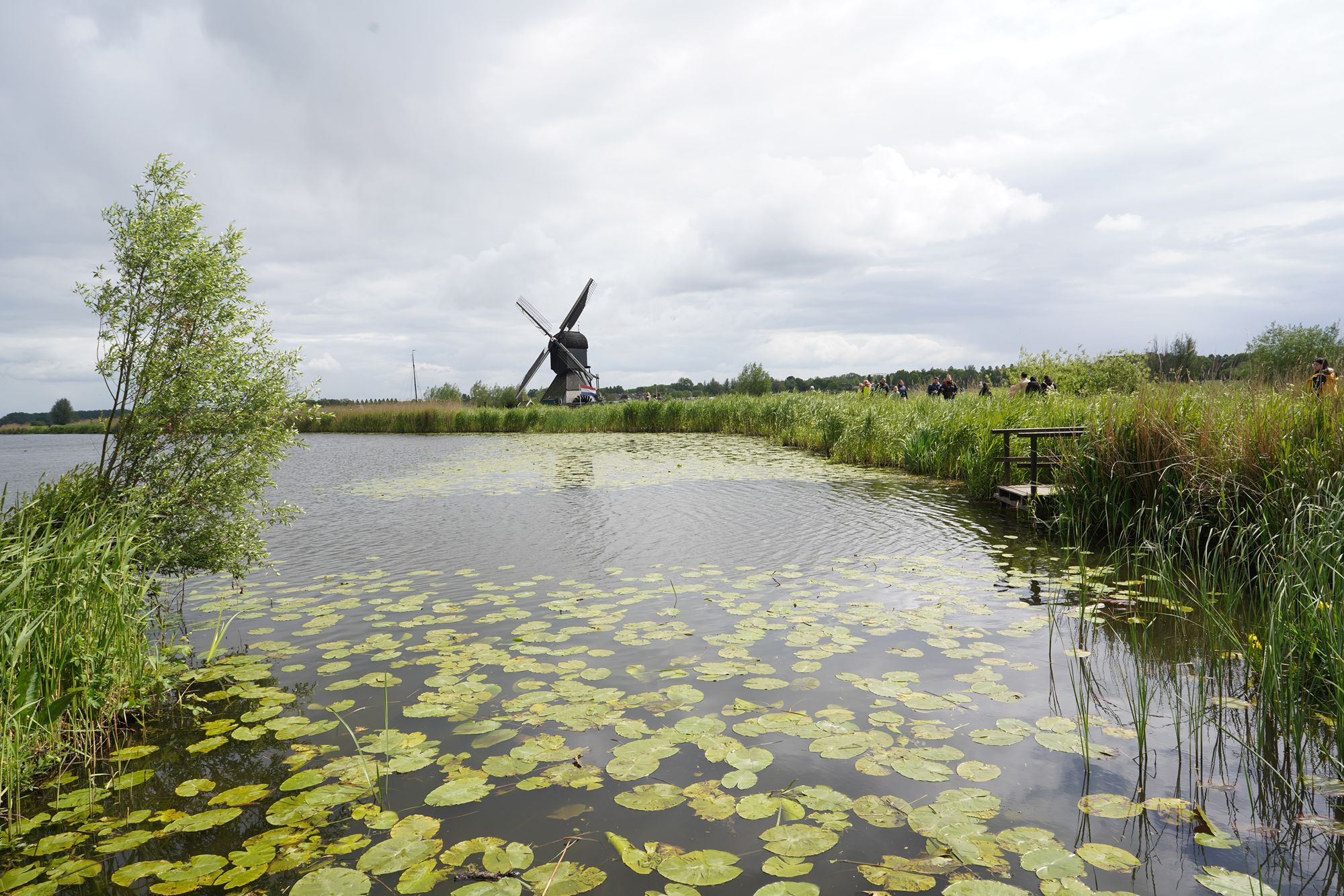 Netherland Werelderfgoed Kinderdijk (121) Netherland Werelderfgoed Kinderdijk (121)