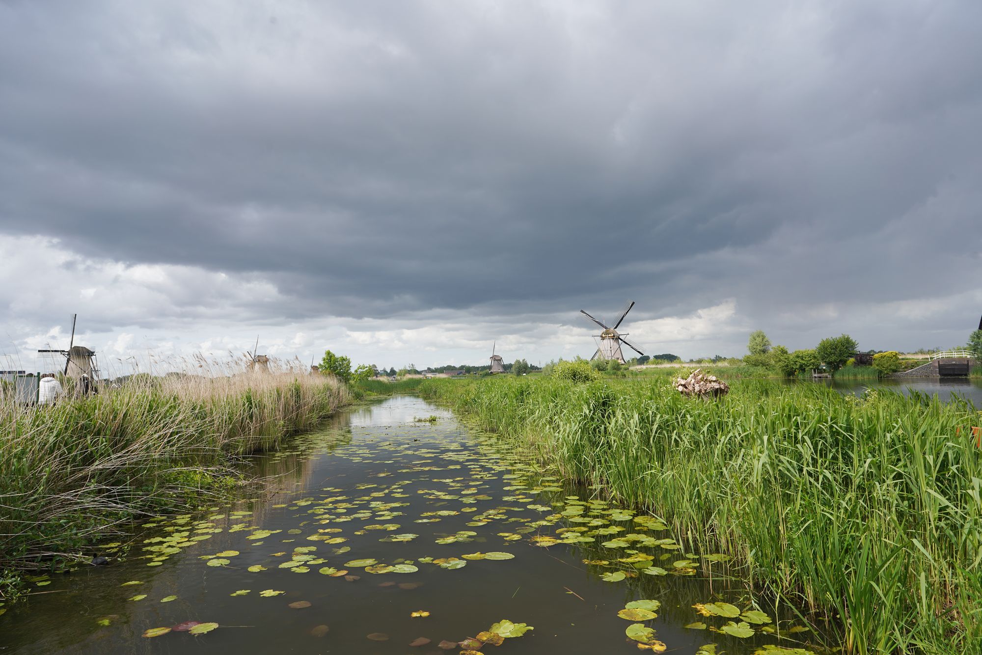 Netherland Werelderfgoed Kinderdijk (122) Netherland Werelderfgoed Kinderdijk (122)