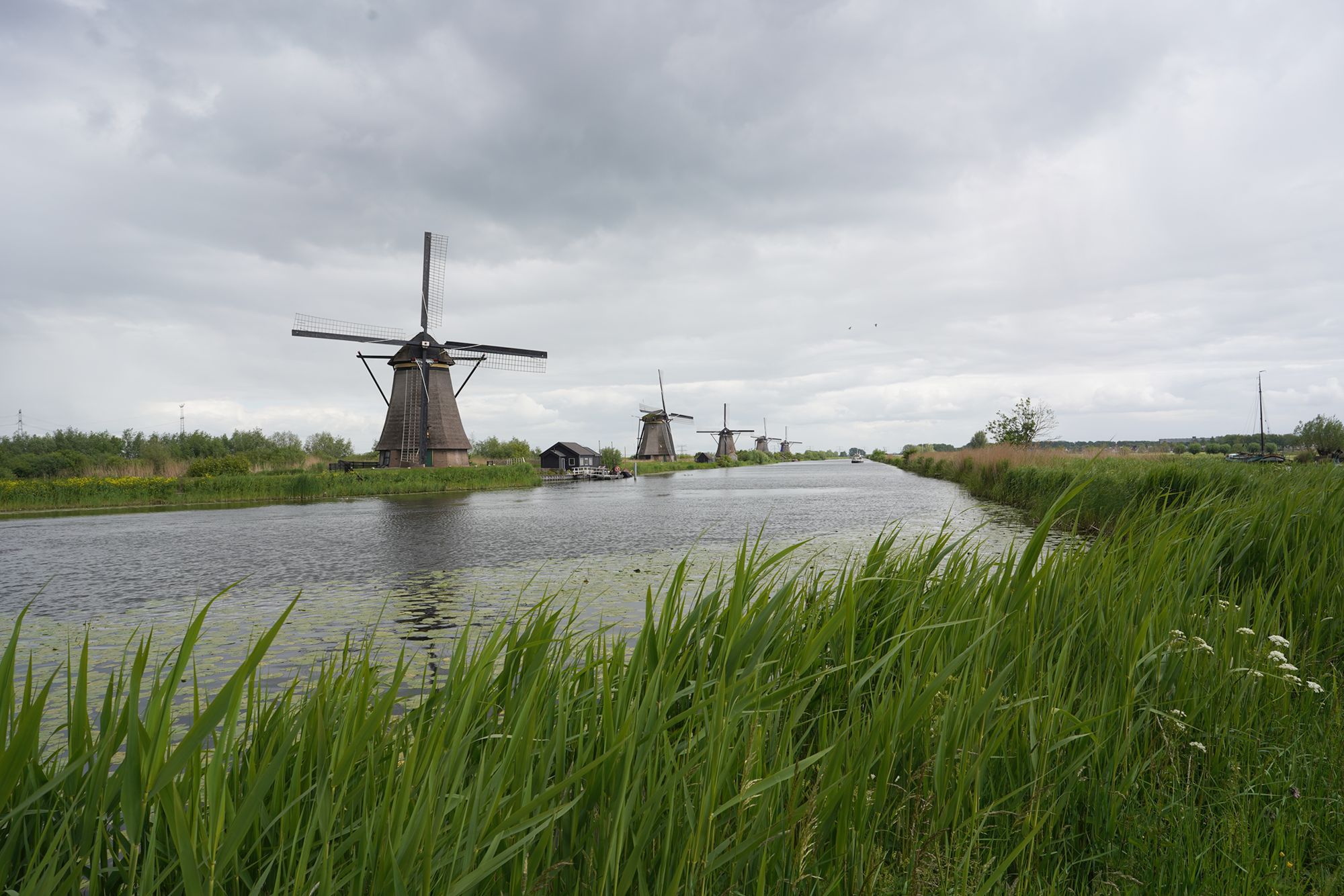 Netherland Werelderfgoed Kinderdijk (123) Netherland Werelderfgoed Kinderdijk (123)