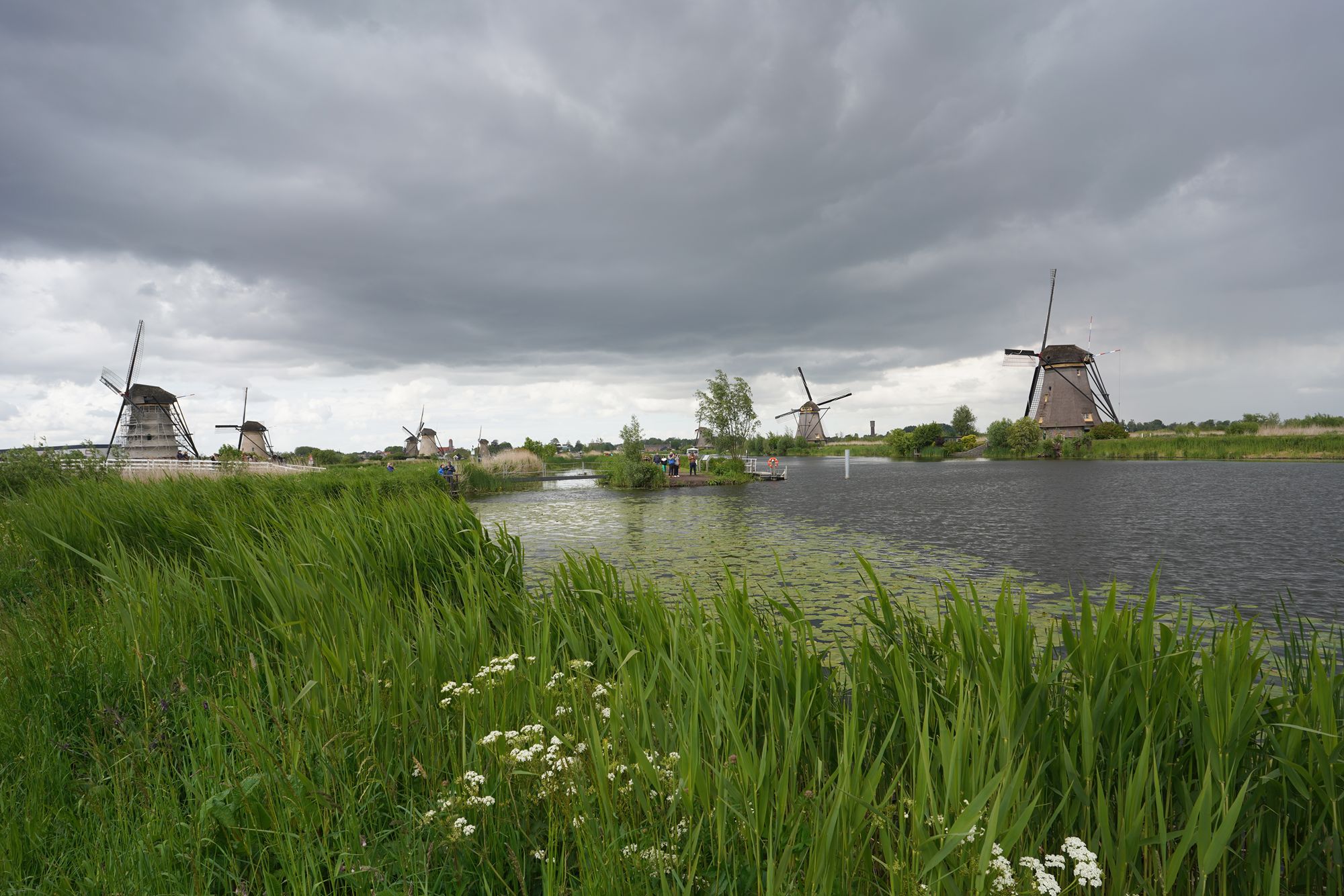 Netherland Werelderfgoed Kinderdijk (127) Netherland Werelderfgoed Kinderdijk (127)