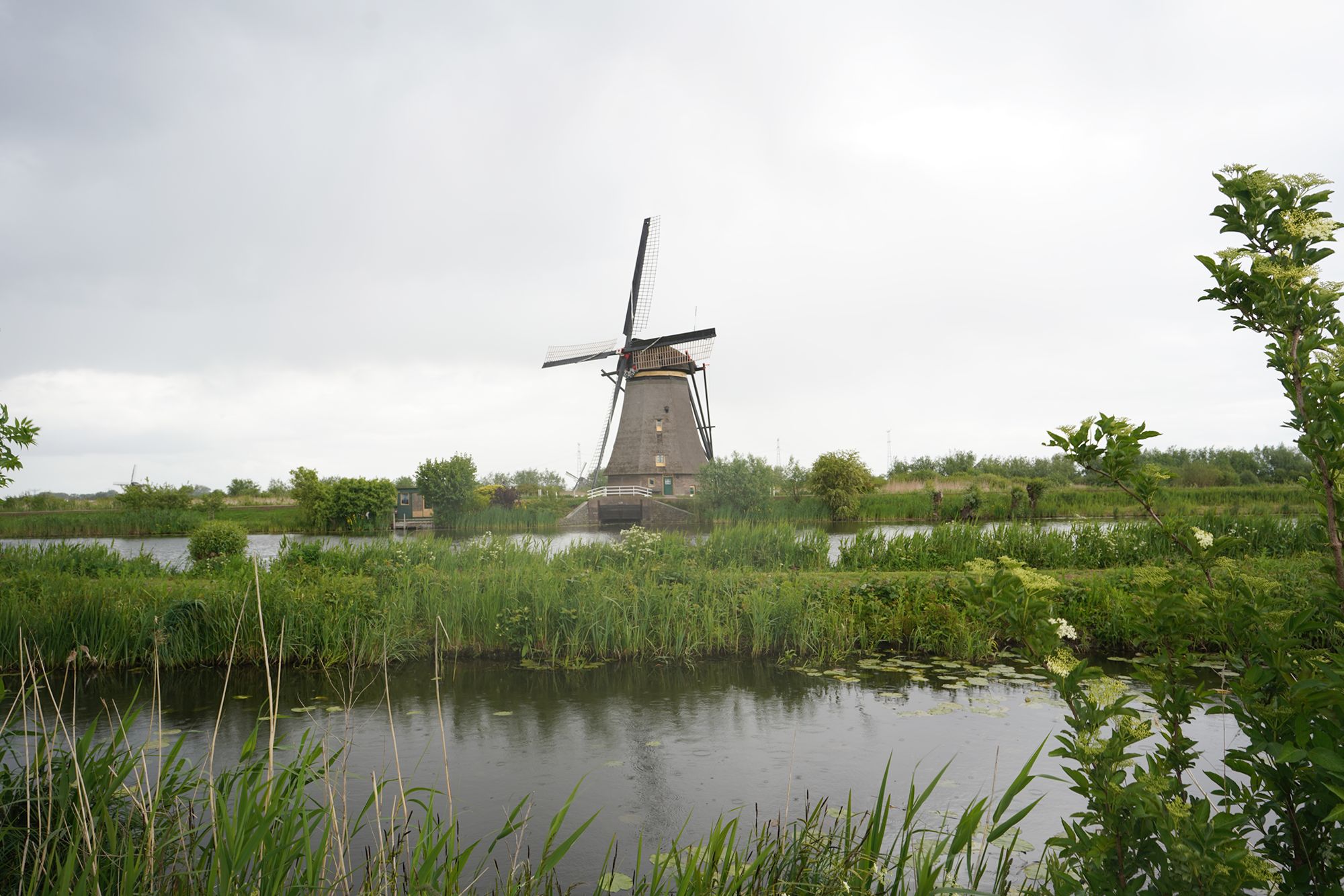Netherland Werelderfgoed Kinderdijk (132) Netherland Werelderfgoed Kinderdijk (132)