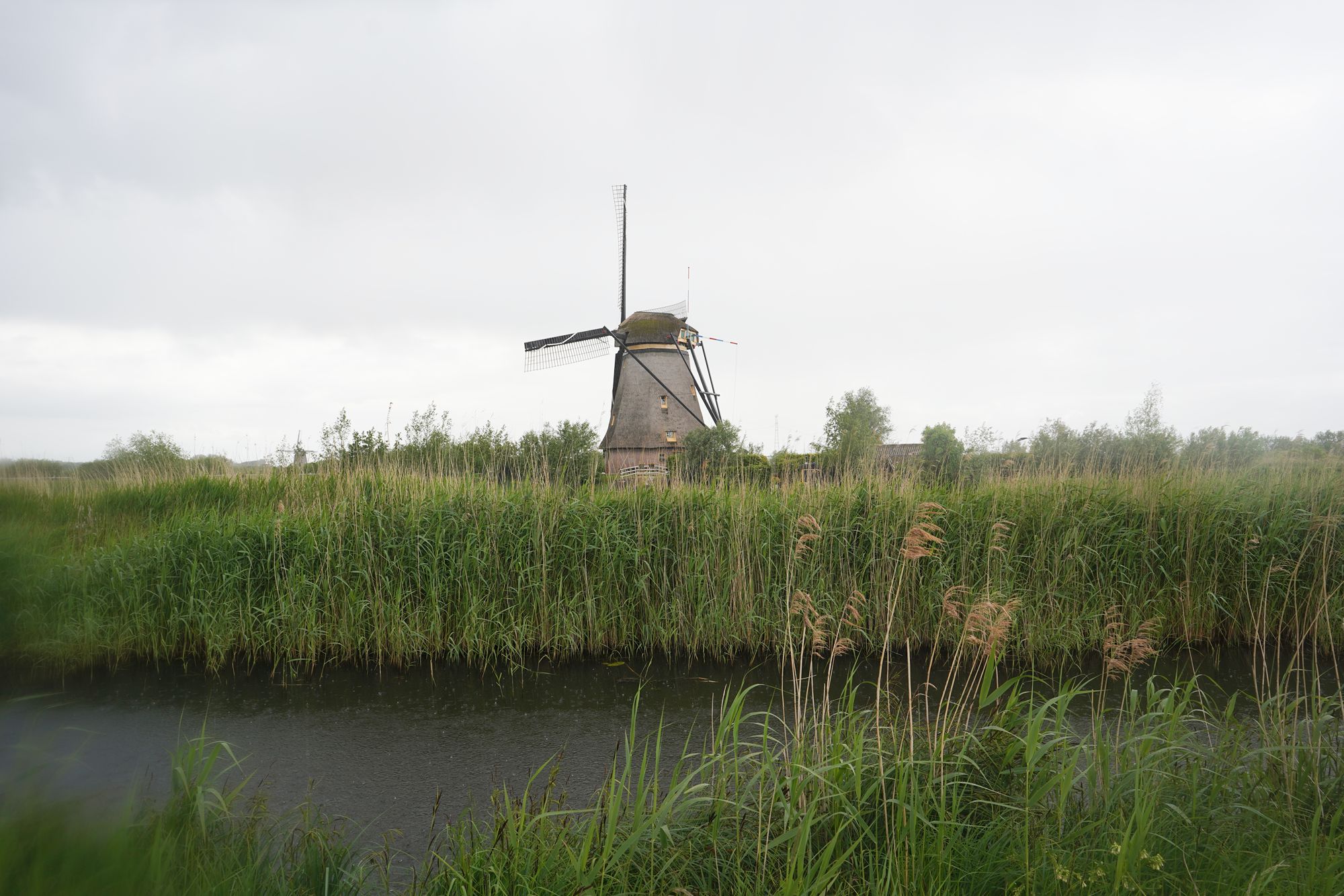 Netherland Werelderfgoed Kinderdijk (134) Netherland Werelderfgoed Kinderdijk (134)