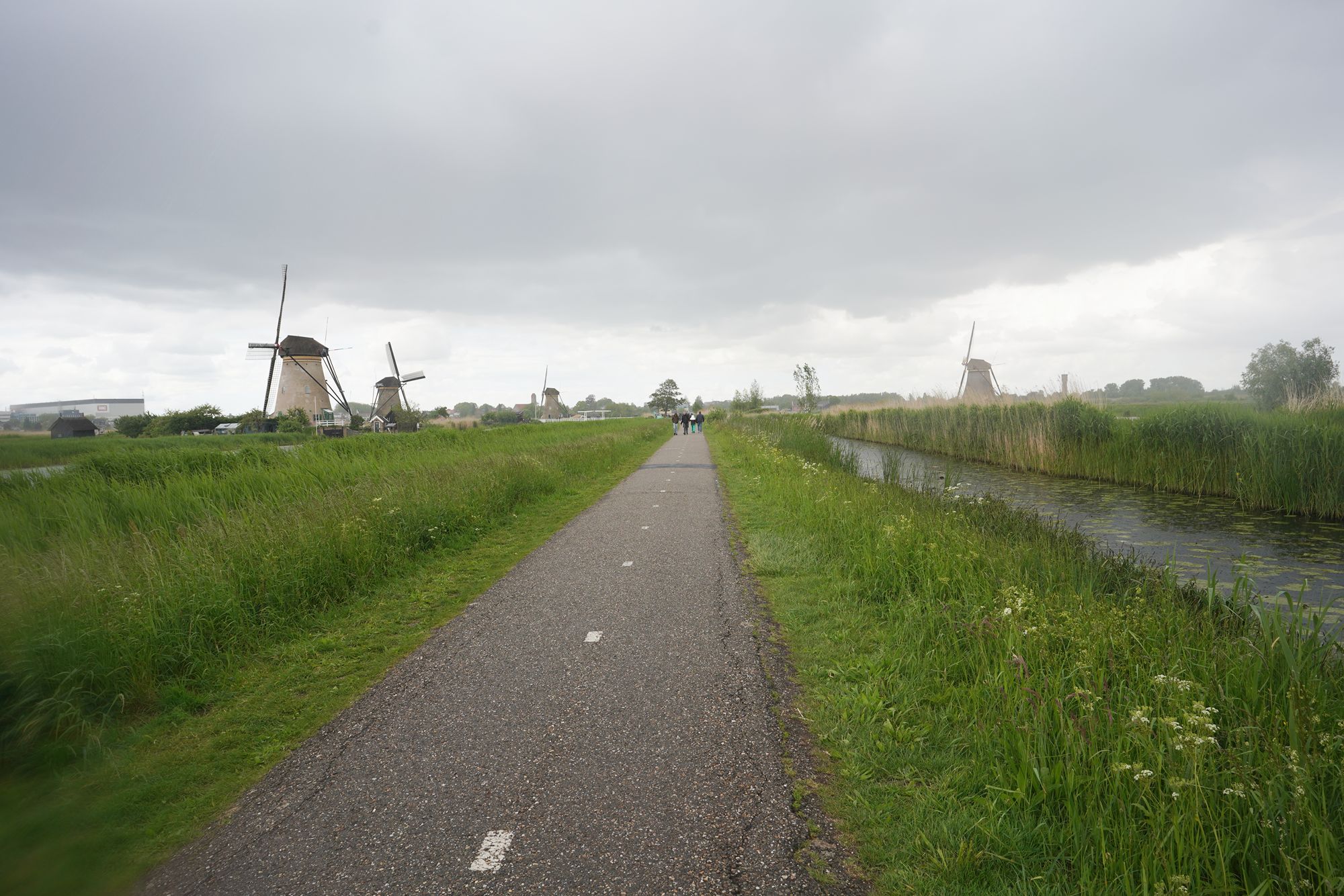 Netherland Werelderfgoed Kinderdijk (135) Netherland Werelderfgoed Kinderdijk (135)