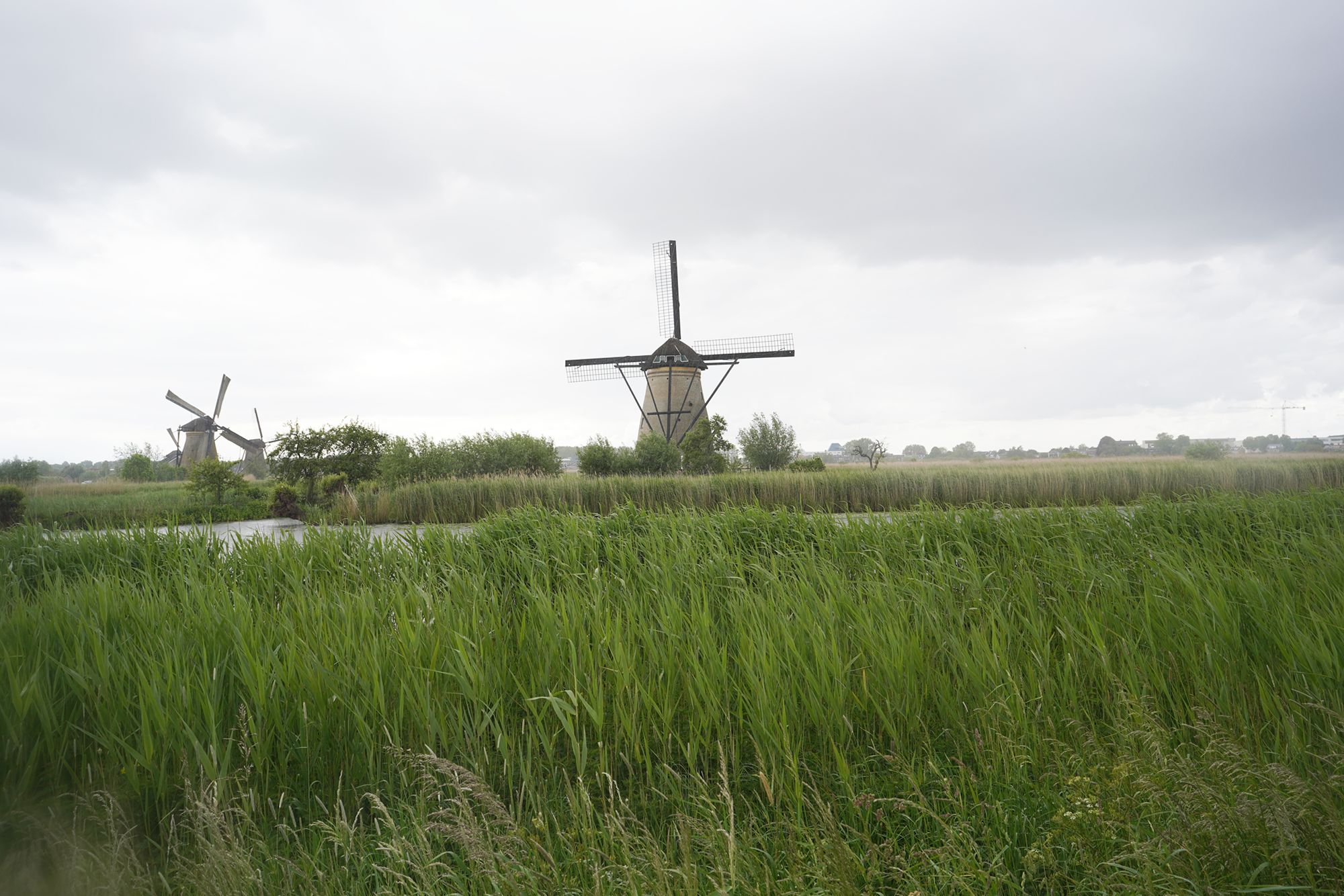 Netherland Werelderfgoed Kinderdijk (136) Netherland Werelderfgoed Kinderdijk (136)