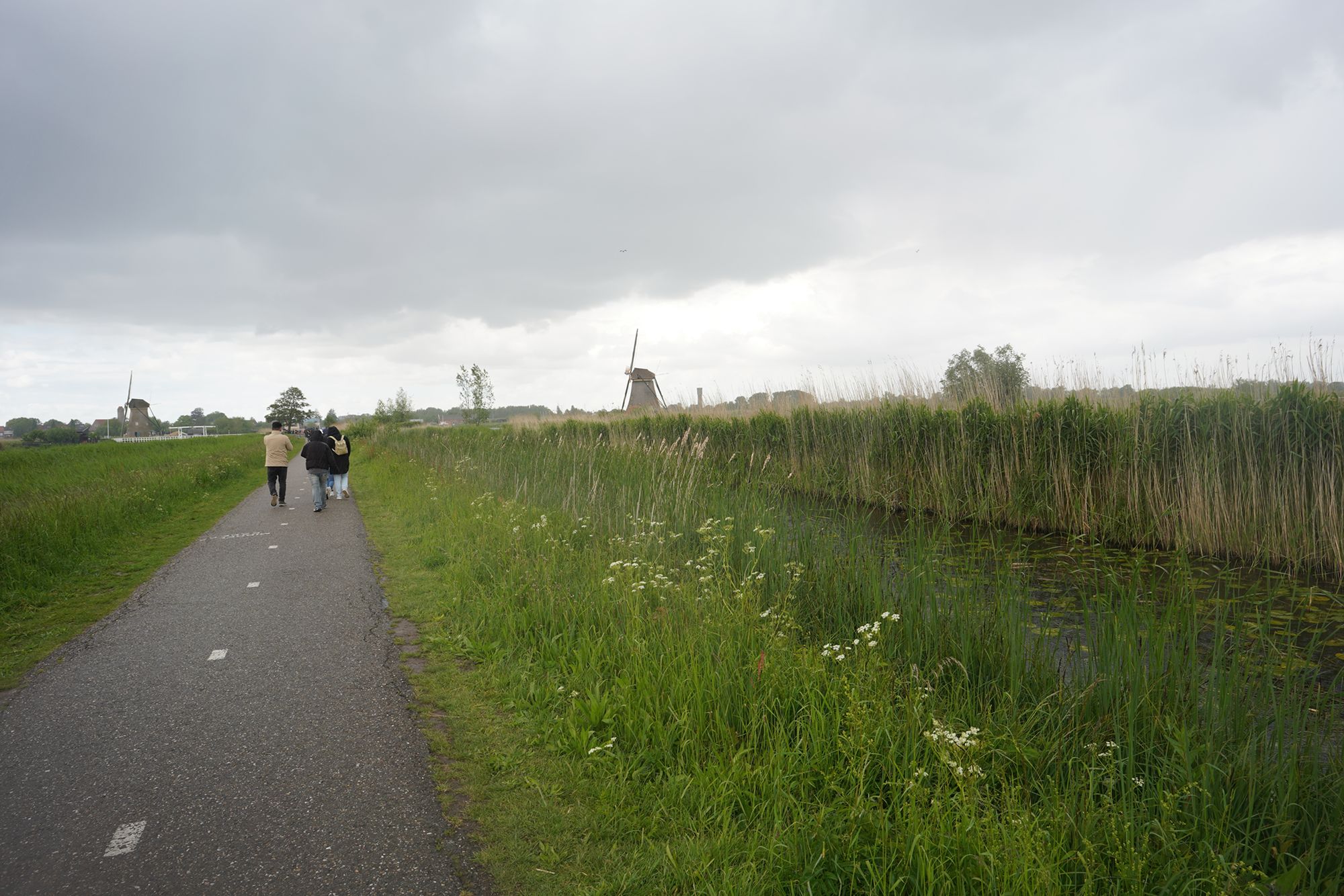 Netherland Werelderfgoed Kinderdijk (137) Netherland Werelderfgoed Kinderdijk (137)