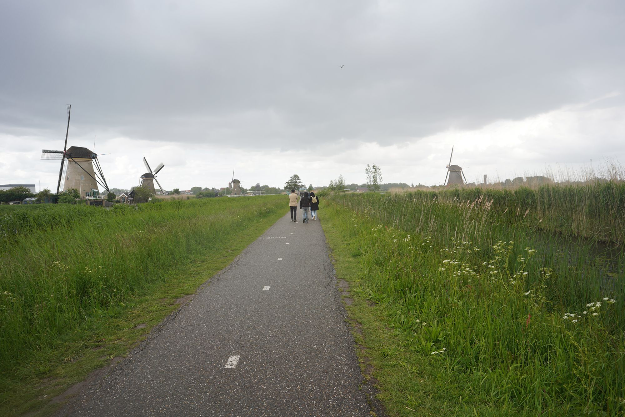 Netherland Werelderfgoed Kinderdijk (138) Netherland Werelderfgoed Kinderdijk (138)