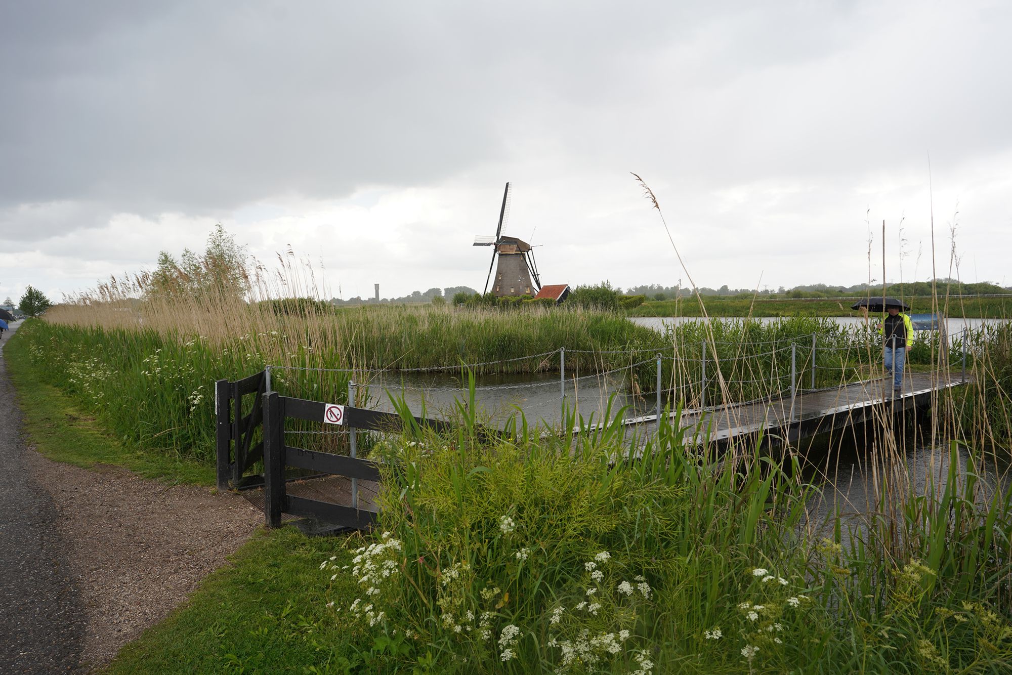 Netherland Werelderfgoed Kinderdijk (140) Netherland Werelderfgoed Kinderdijk (140)