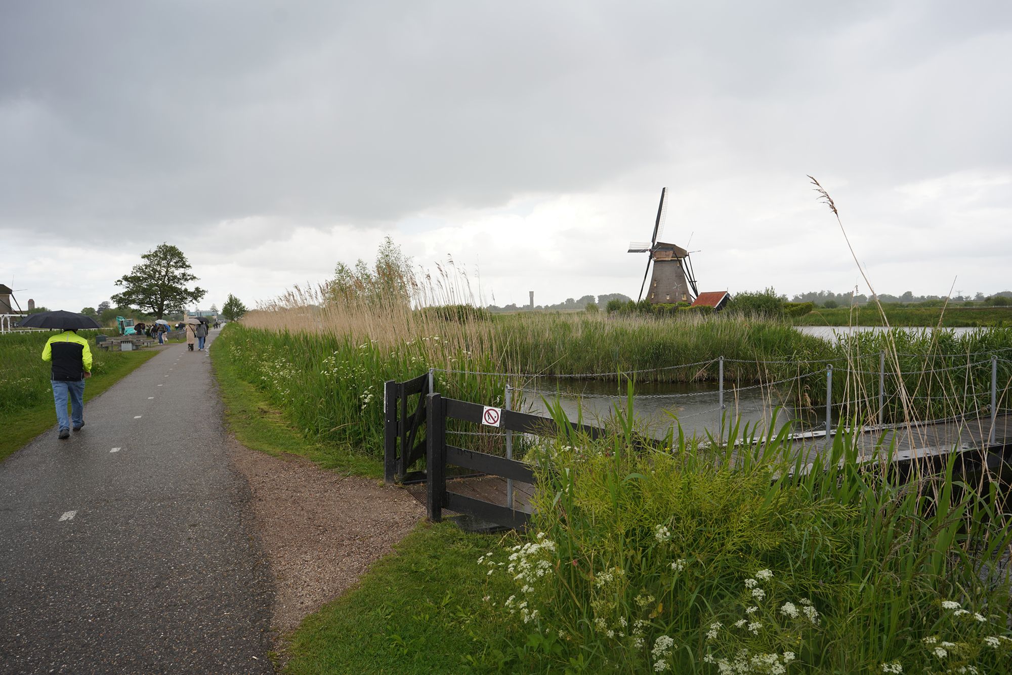Netherland Werelderfgoed Kinderdijk (141) Netherland Werelderfgoed Kinderdijk (141)