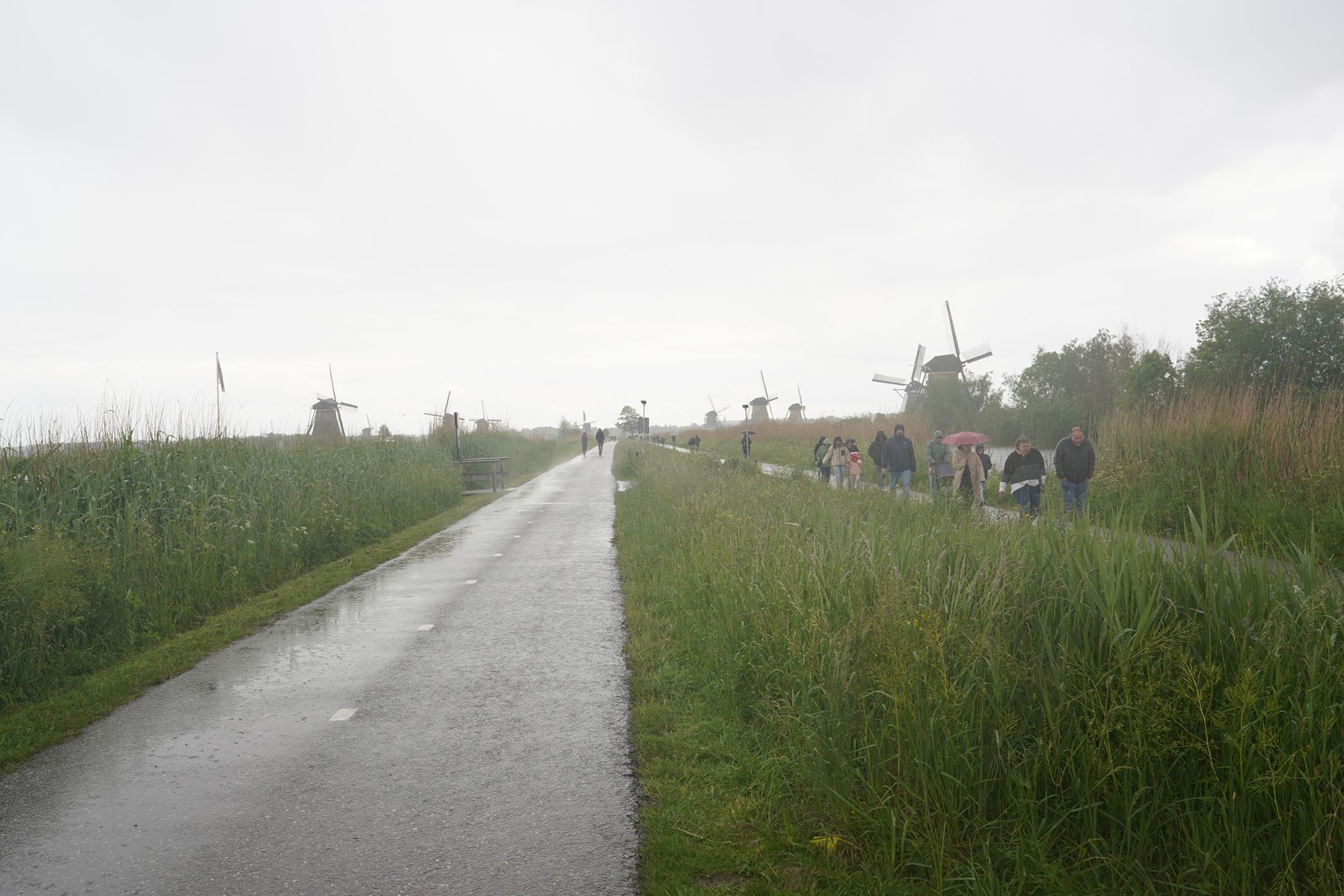 Netherland Werelderfgoed Kinderdijk (143) Netherland Werelderfgoed Kinderdijk (143)