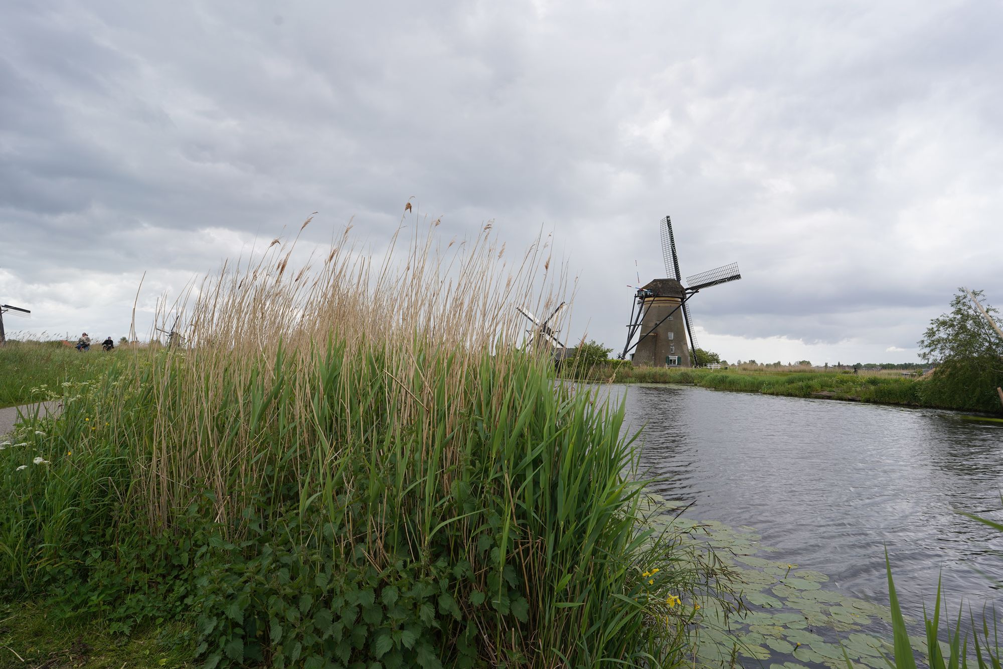 Netherland Werelderfgoed Kinderdijk (48) Netherland Werelderfgoed Kinderdijk (48)