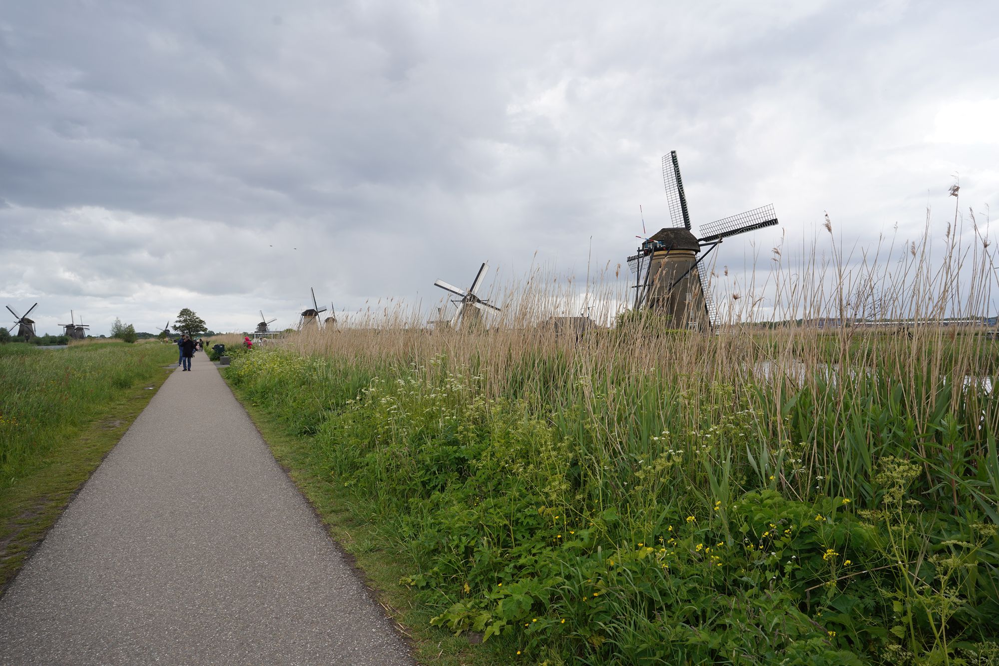 Netherland Werelderfgoed Kinderdijk (50) Netherland Werelderfgoed Kinderdijk (50)