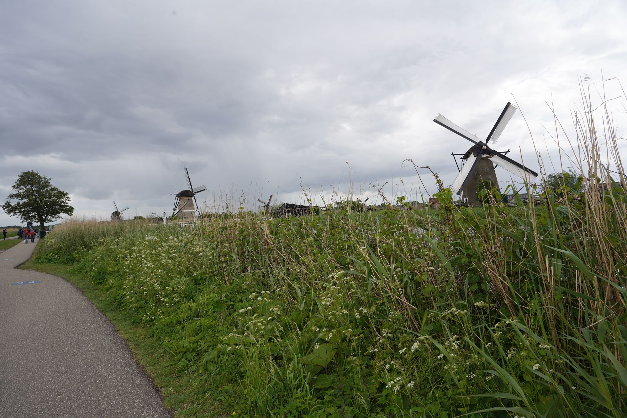 Netherland Werelderfgoed Kinderdijk (55) Netherland Werelderfgoed Kinderdijk (55)