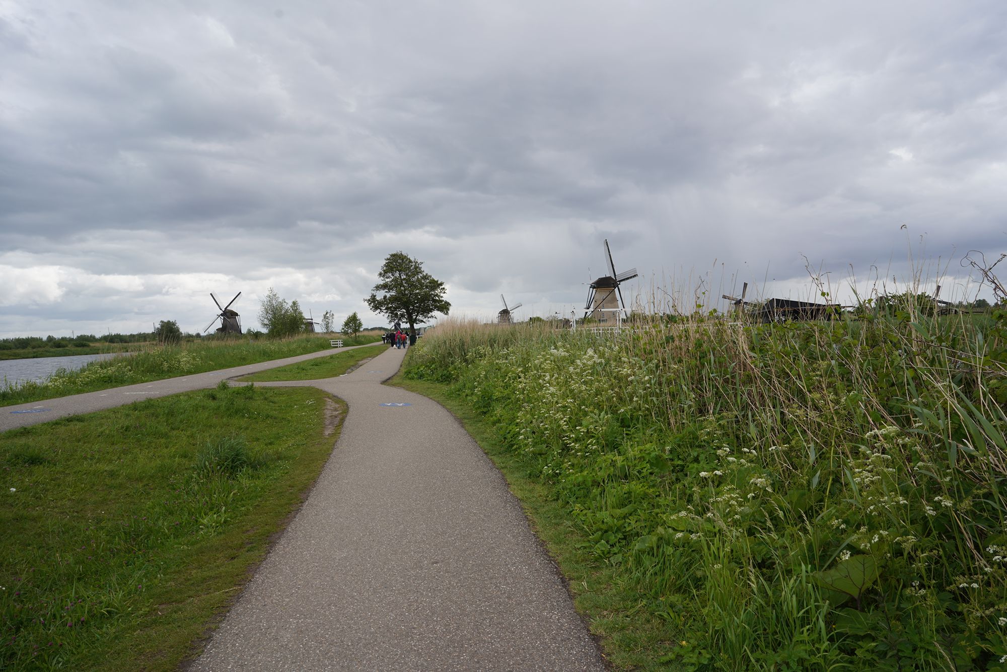 Netherland Werelderfgoed Kinderdijk (56) Netherland Werelderfgoed Kinderdijk (56)
