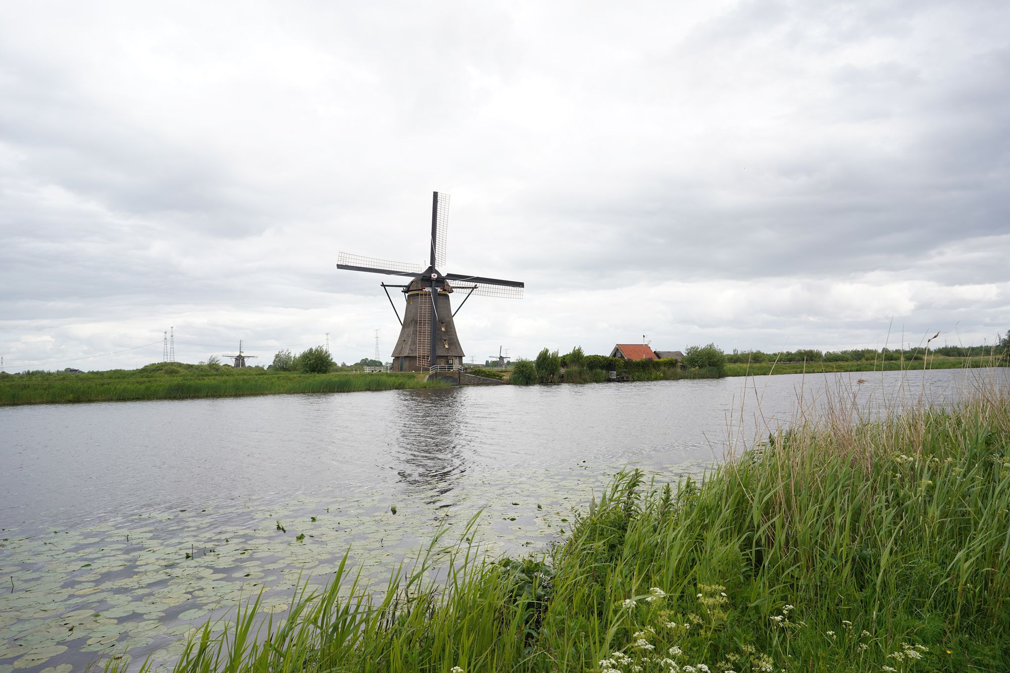 Netherland Werelderfgoed Kinderdijk (57) Netherland Werelderfgoed Kinderdijk (57)
