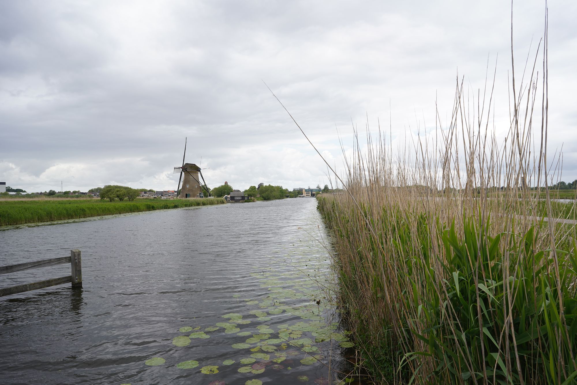 Netherland Werelderfgoed Kinderdijk (63) Netherland Werelderfgoed Kinderdijk (63)