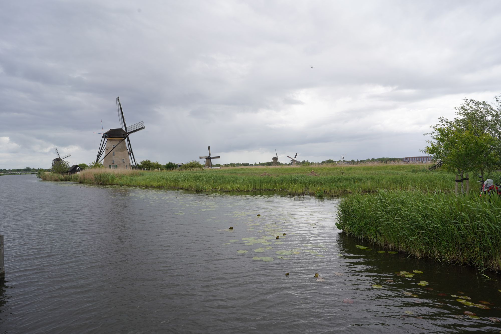 Netherland Werelderfgoed Kinderdijk (69) Netherland Werelderfgoed Kinderdijk (69)