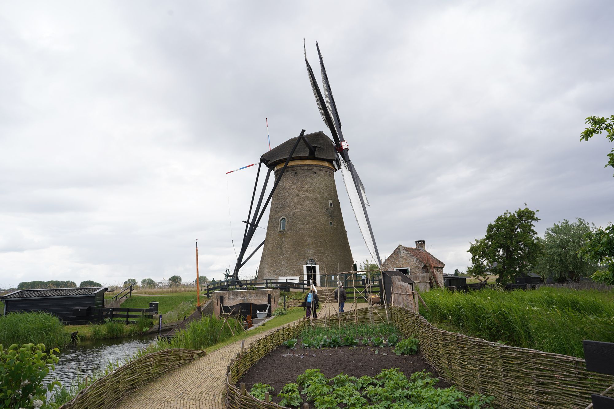 Netherland Werelderfgoed Kinderdijk (72) Netherland Werelderfgoed Kinderdijk (72)
