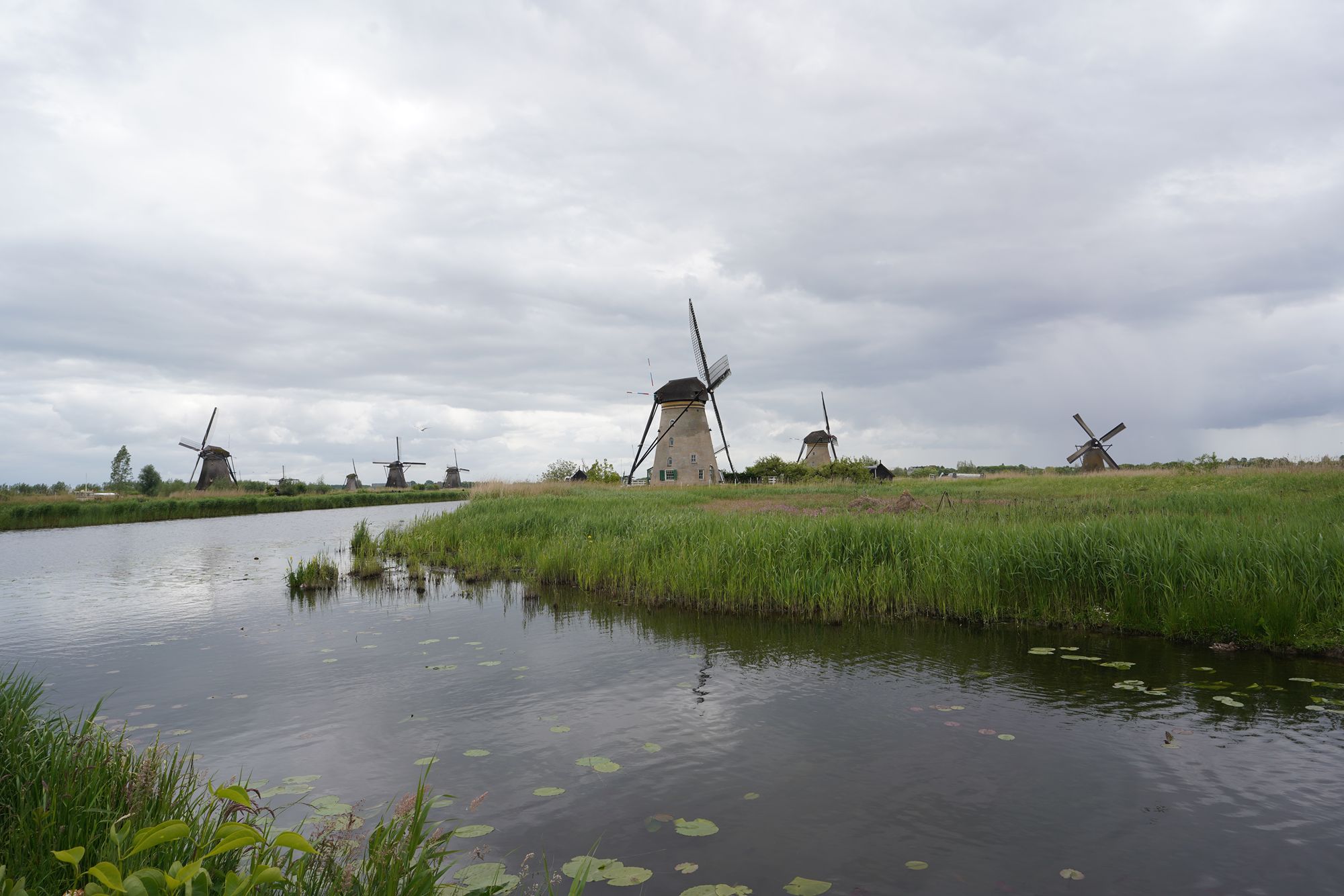 Netherland Werelderfgoed Kinderdijk (73) Netherland Werelderfgoed Kinderdijk (73)