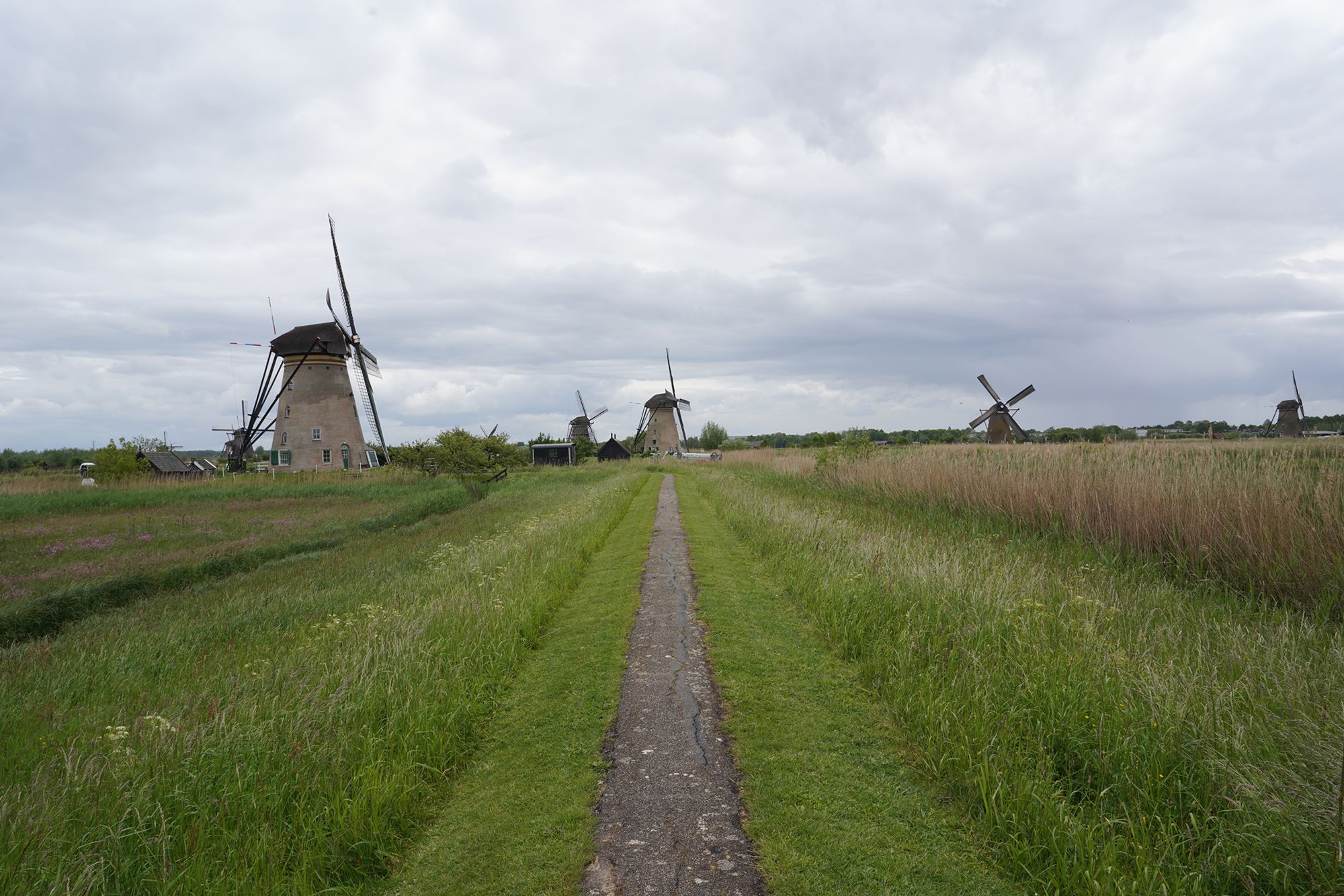 Netherland Werelderfgoed Kinderdijk (89) Netherland Werelderfgoed Kinderdijk (89)