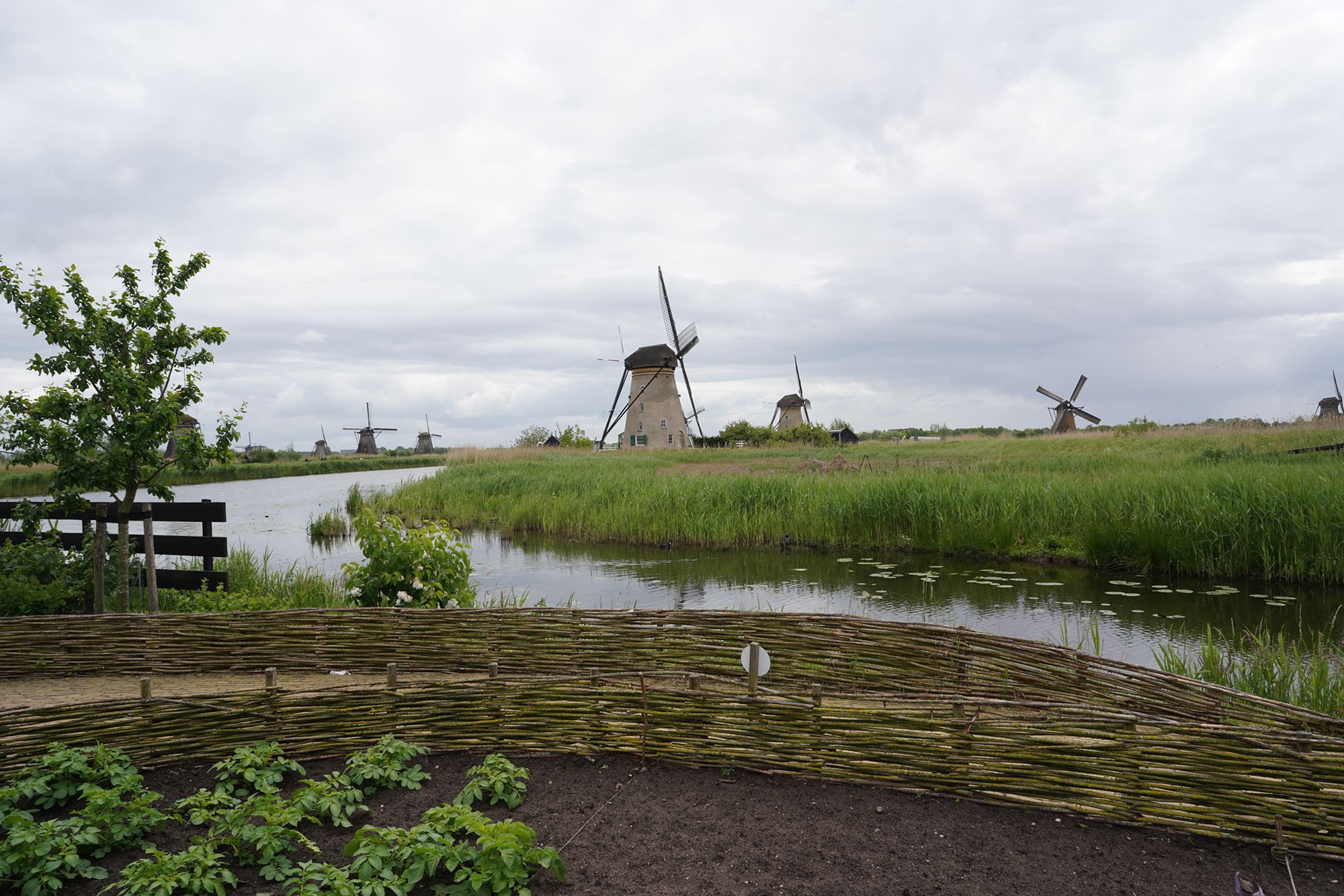 Netherland Werelderfgoed Kinderdijk (92) Netherland Werelderfgoed Kinderdijk (92)