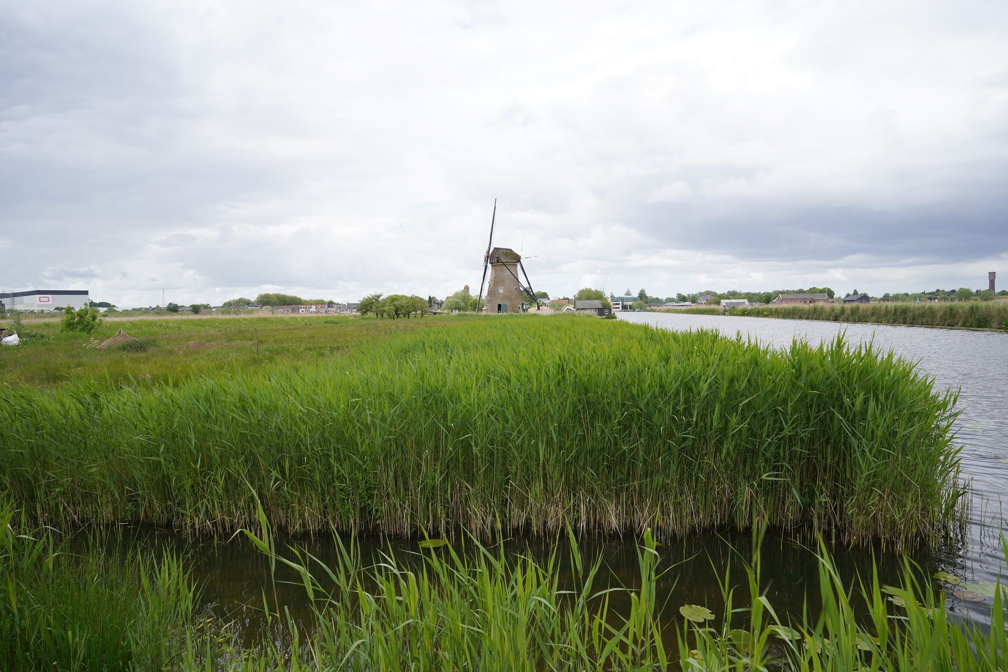 Netherland Werelderfgoed Kinderdijk (94) Netherland Werelderfgoed Kinderdijk (94)