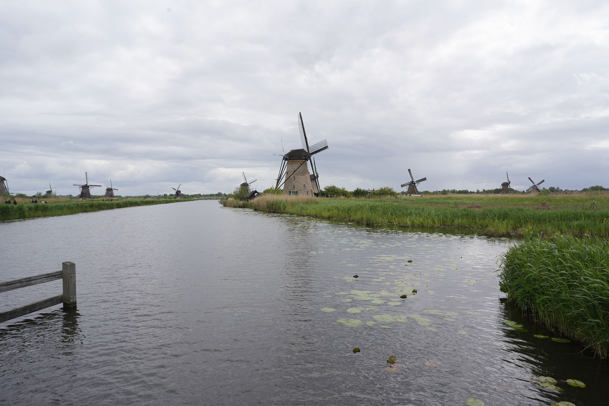 Netherland Werelderfgoed Kinderdijk (95) Netherland Werelderfgoed Kinderdijk (95)
