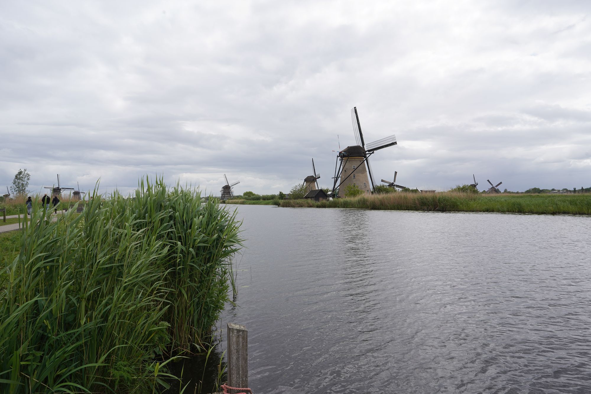 Netherland Werelderfgoed Kinderdijk (97) Netherland Werelderfgoed Kinderdijk (97)