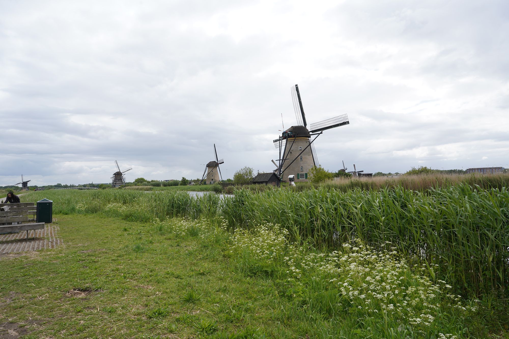 Netherland Werelderfgoed Kinderdijk (98) Netherland Werelderfgoed Kinderdijk (98)