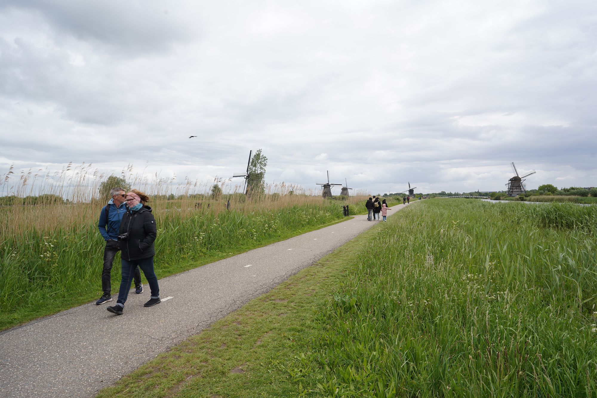 Netherland Werelderfgoed Kinderdijk (99) Netherland Werelderfgoed Kinderdijk (99)
