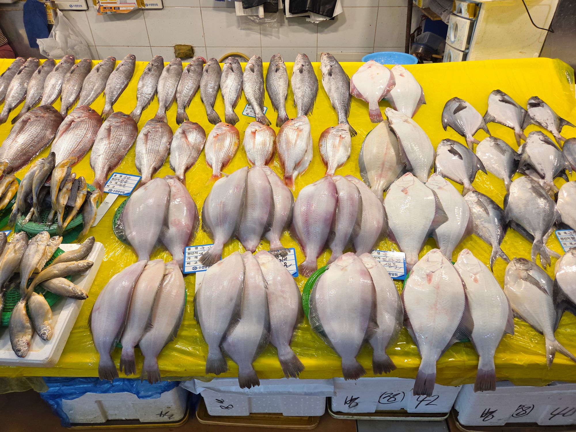 Noryangjin Fisheries Wholesale Market (10)