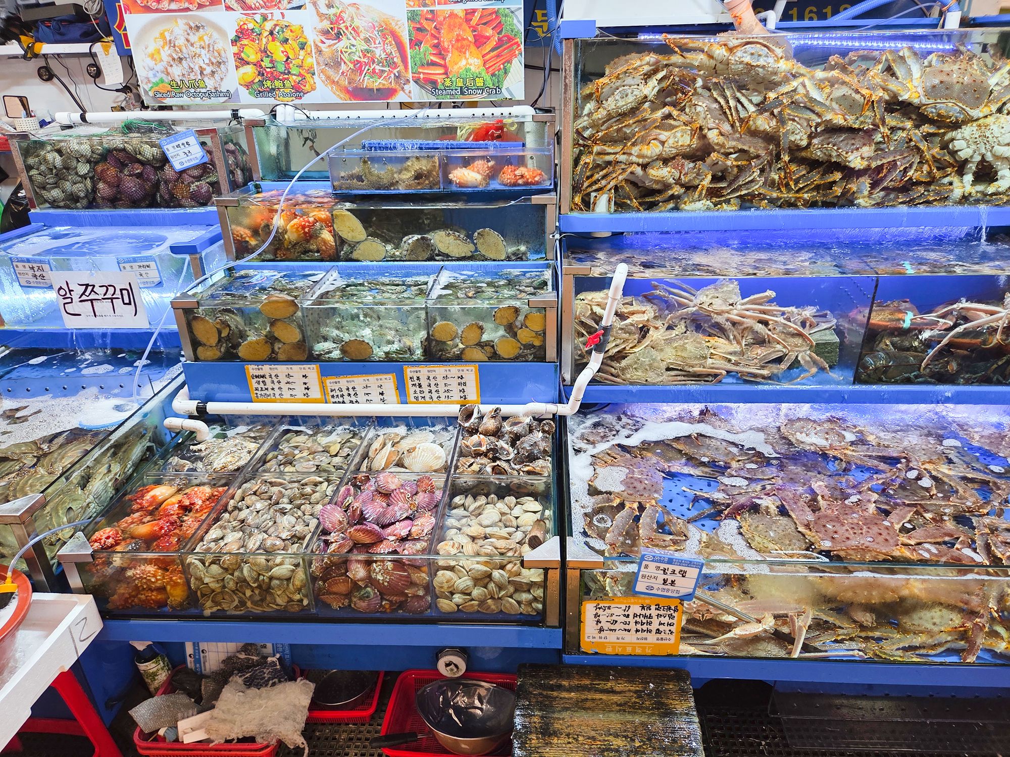 Noryangjin Fisheries Wholesale Market (11)
