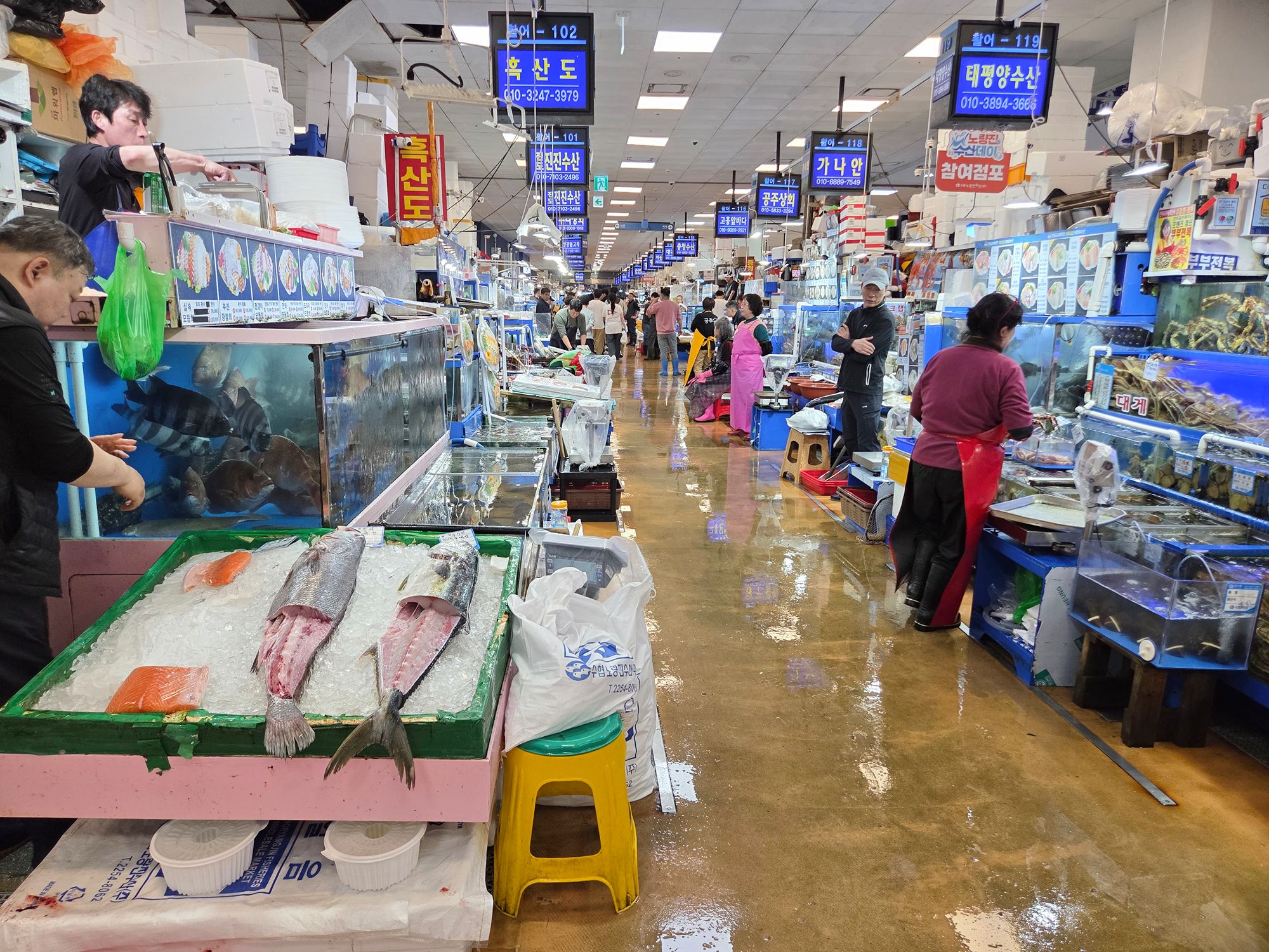 Noryangjin Fisheries Wholesale Market (12)