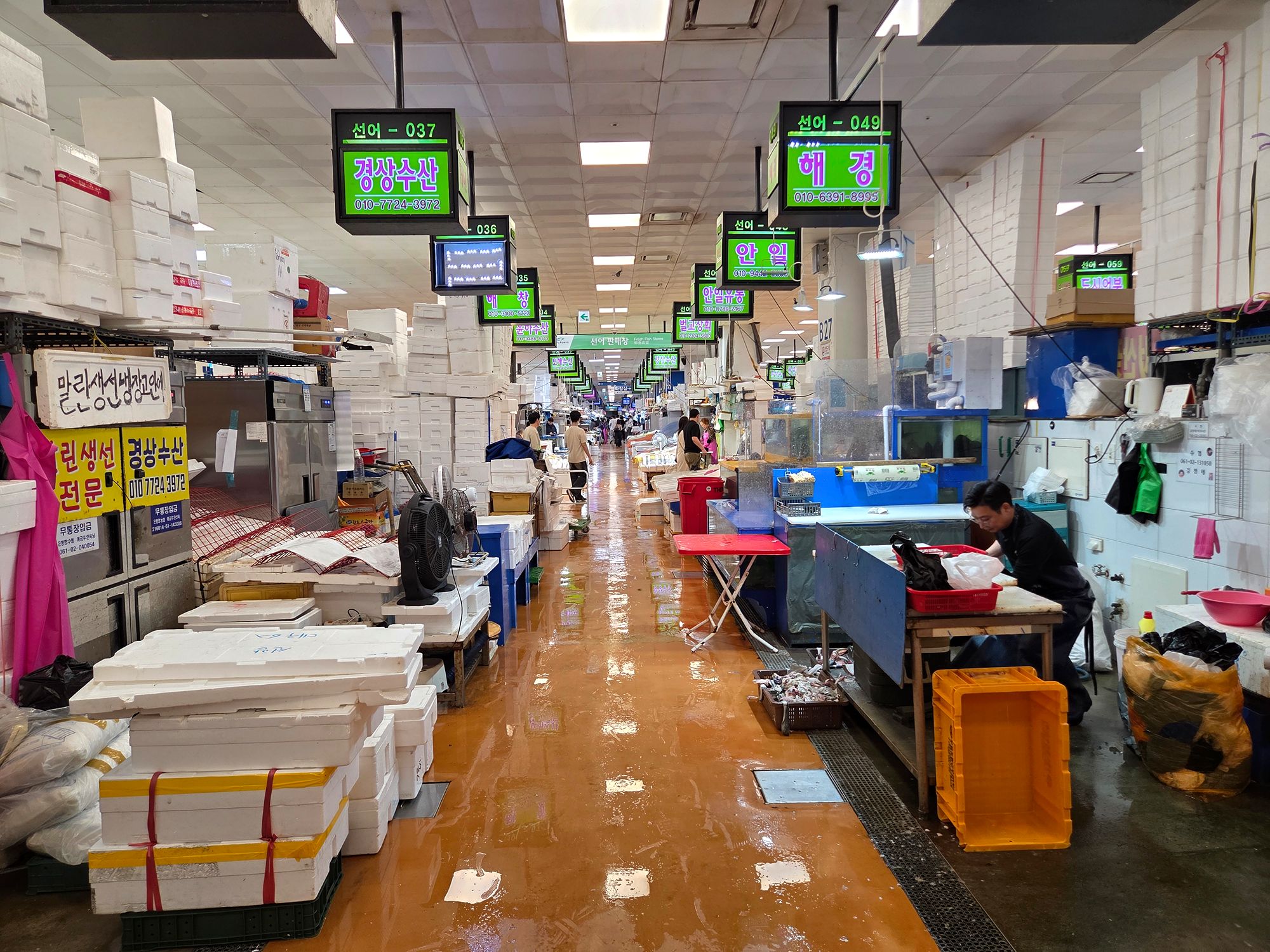 Noryangjin Fisheries Wholesale Market (4)