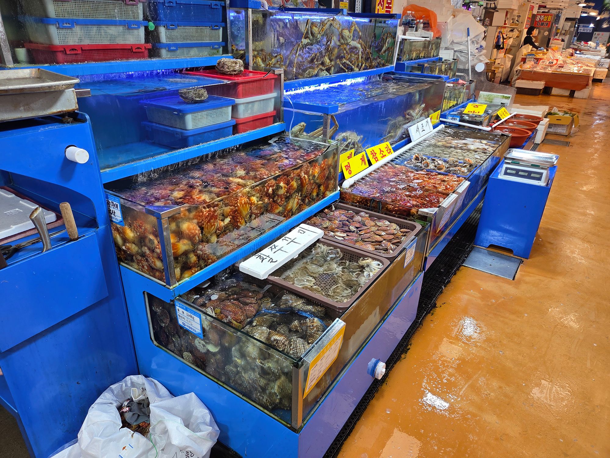 Noryangjin Fisheries Wholesale Market (5)