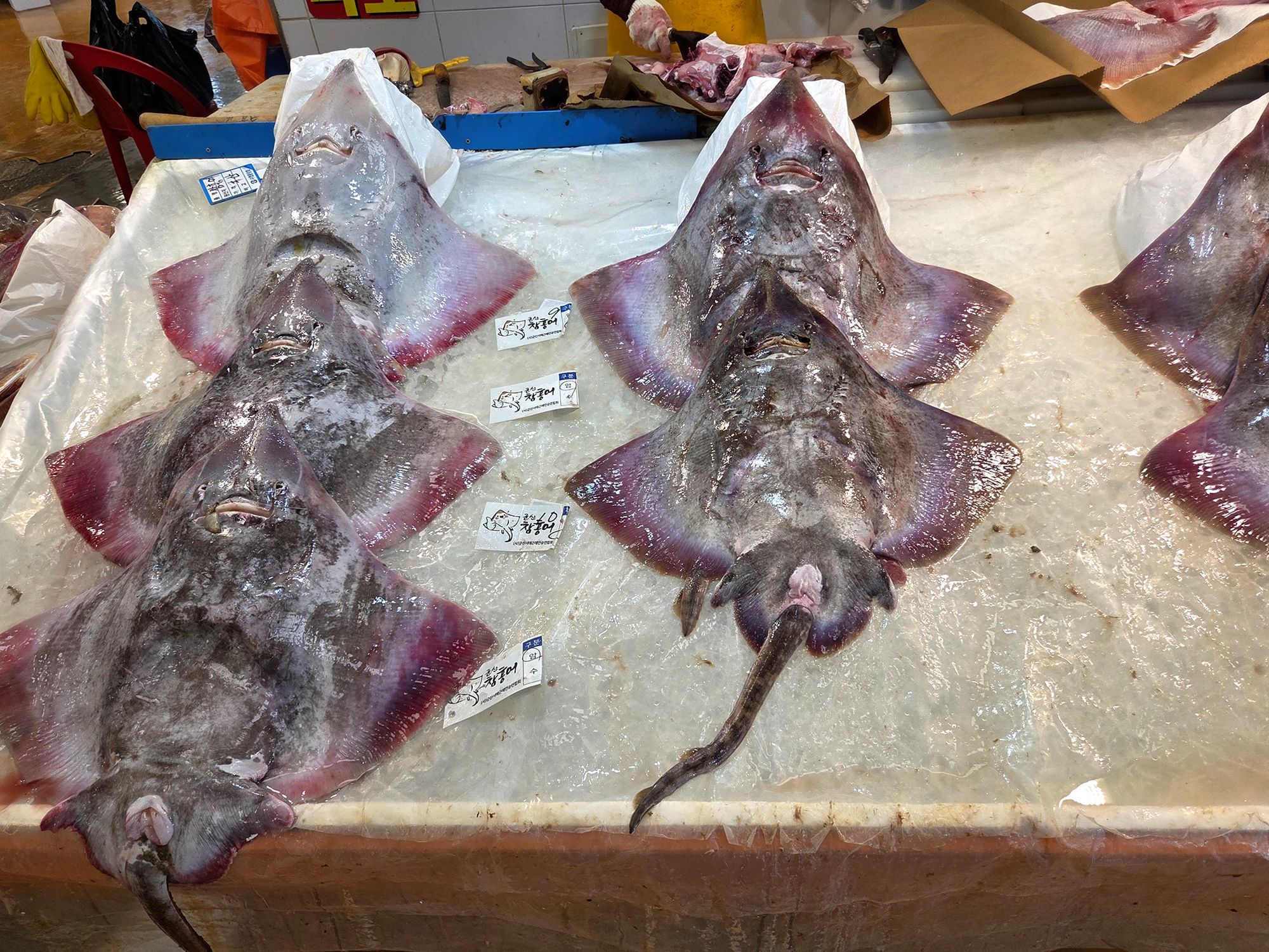Noryangjin Fisheries Wholesale Market (6)