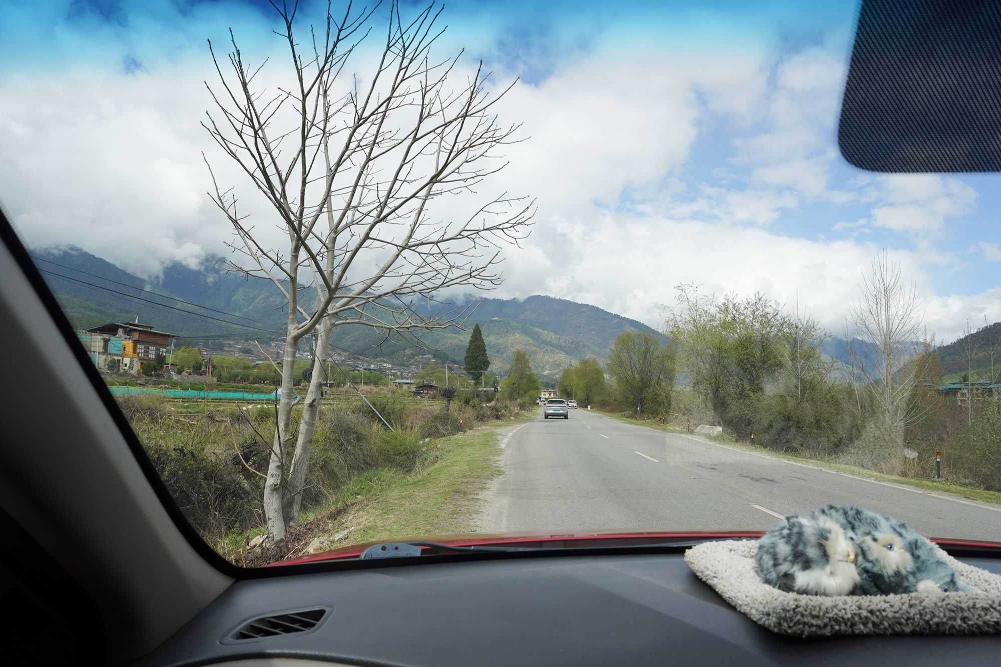 Paro City Walk (21)