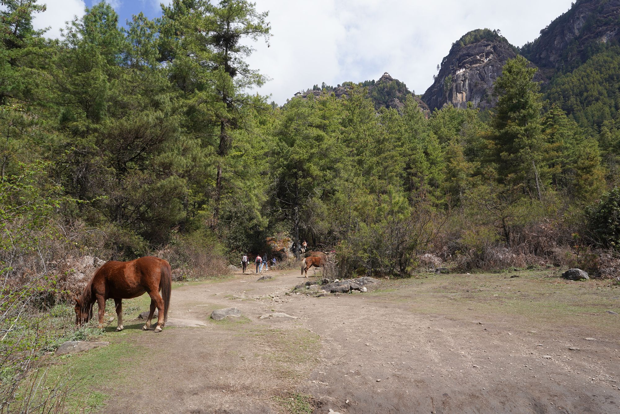 Paro City Walk (30)