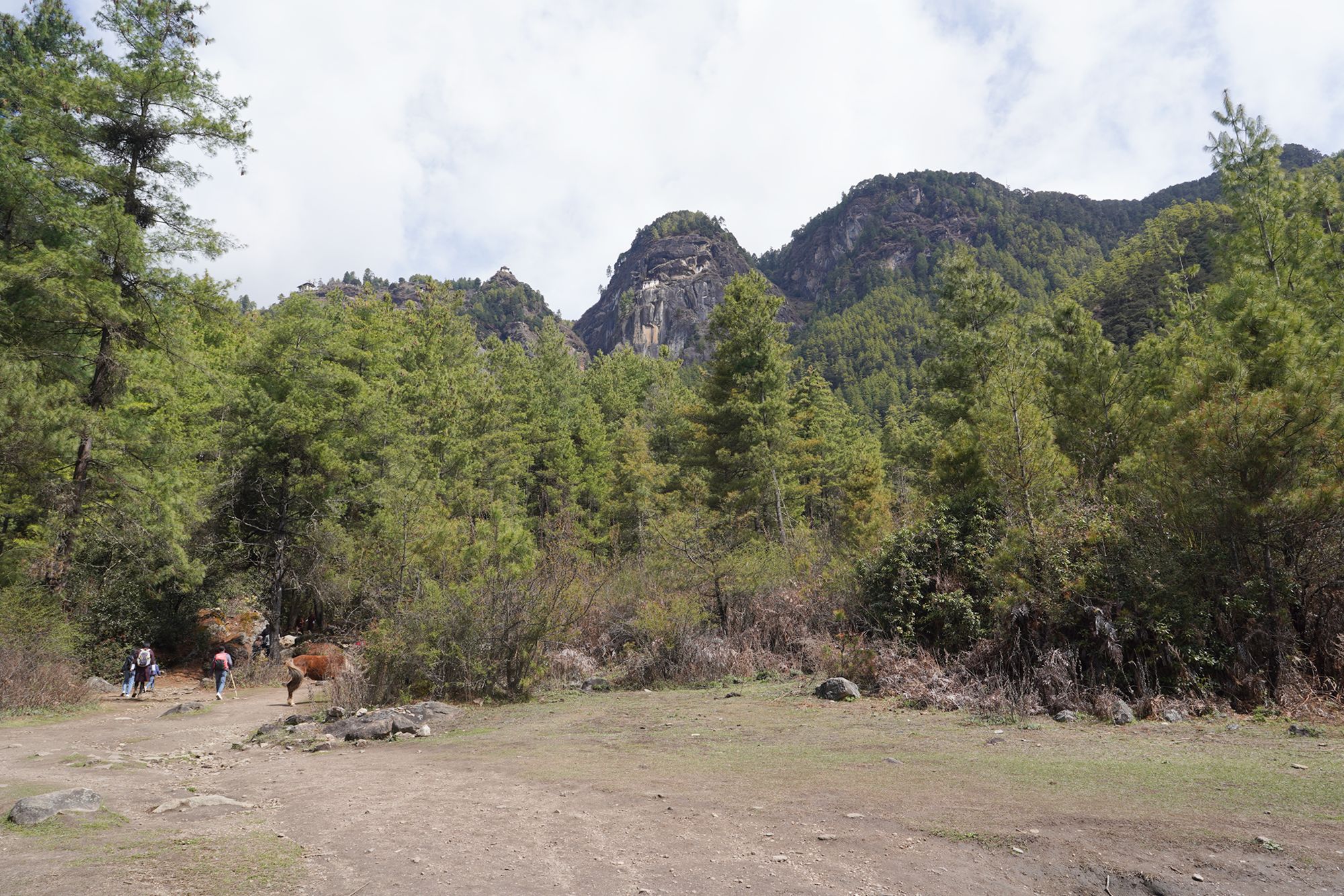 Paro City Walk (31)