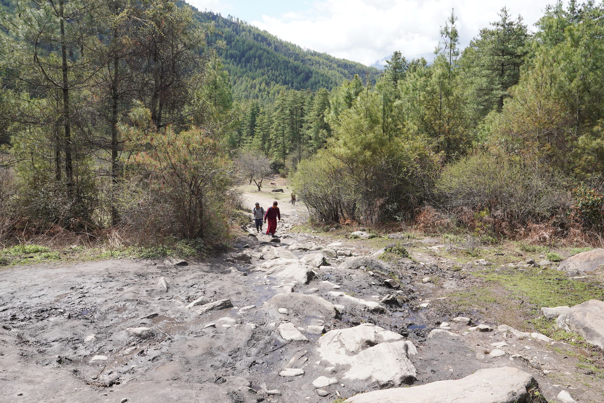 Paro City Walk (32)