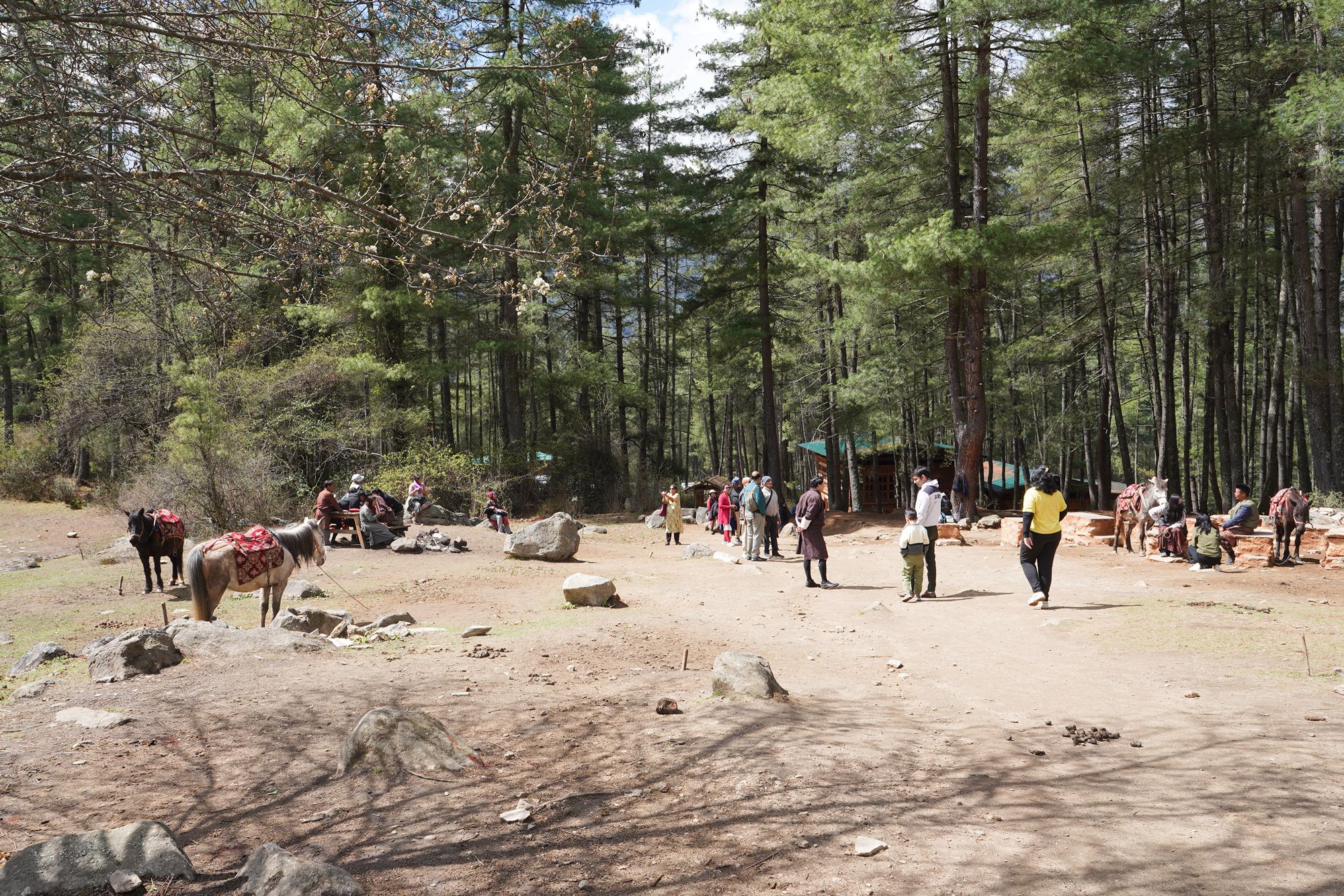 Paro City Walk (33)