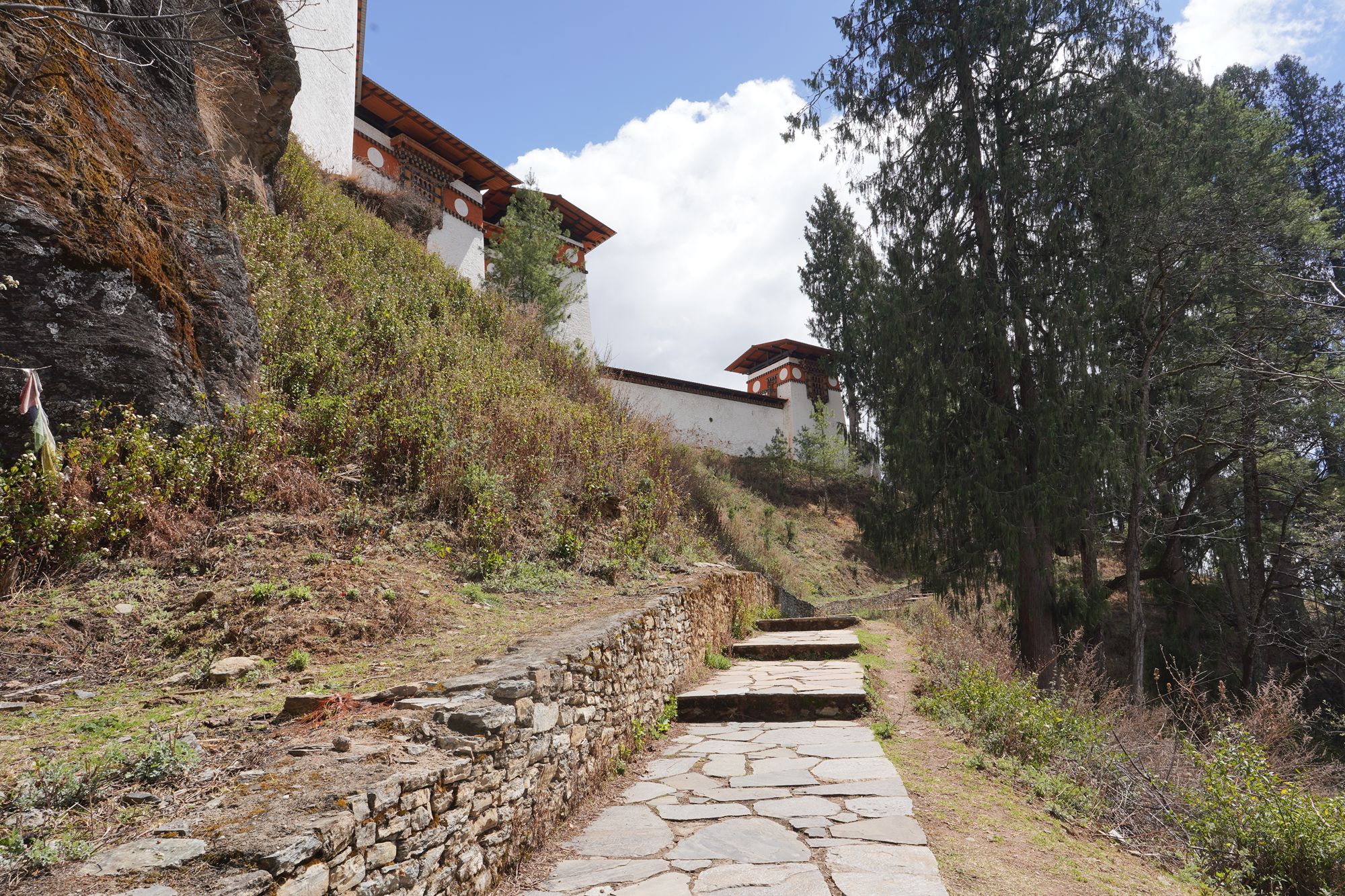 Paro City Walk (43)