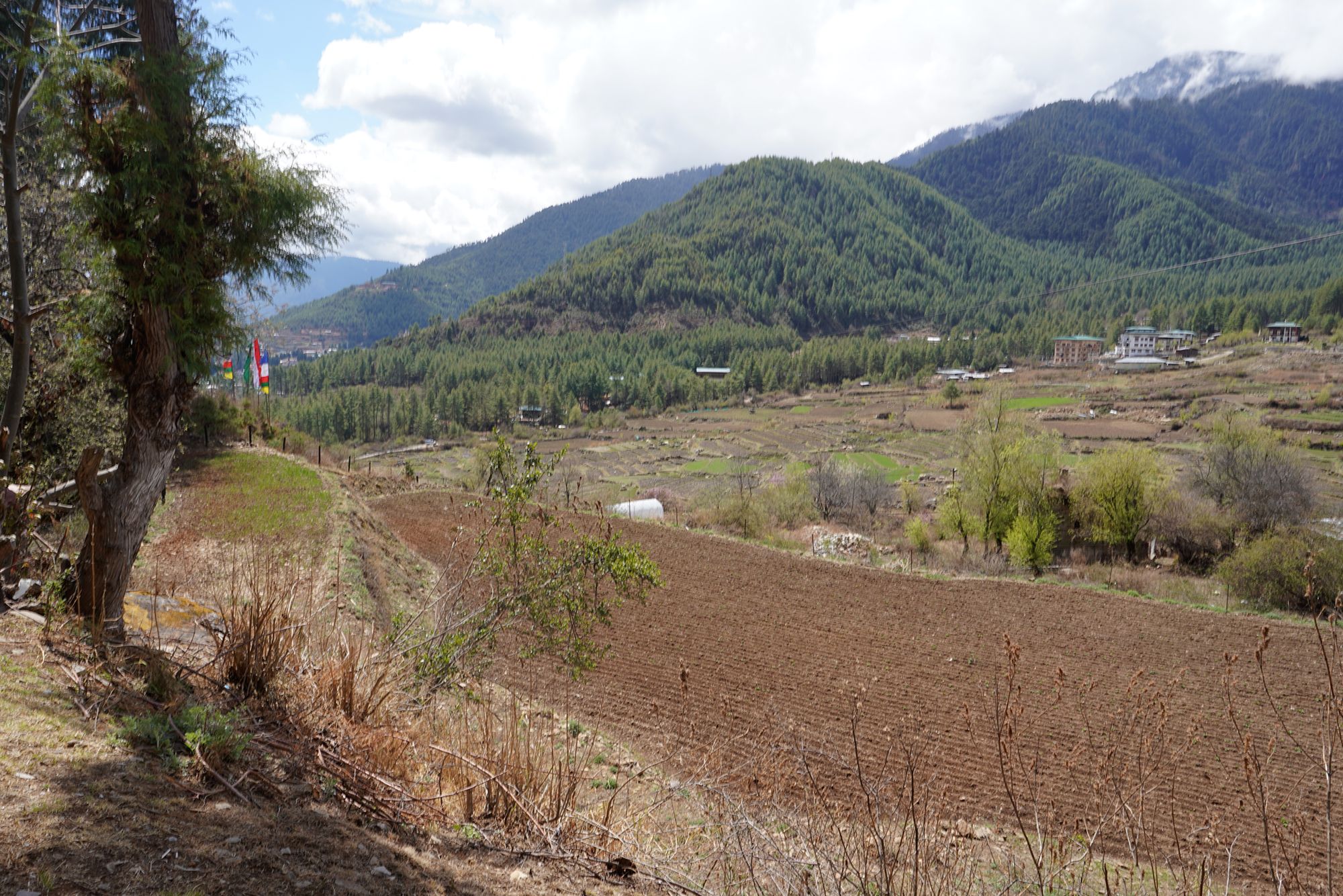 Paro City Walk (44)