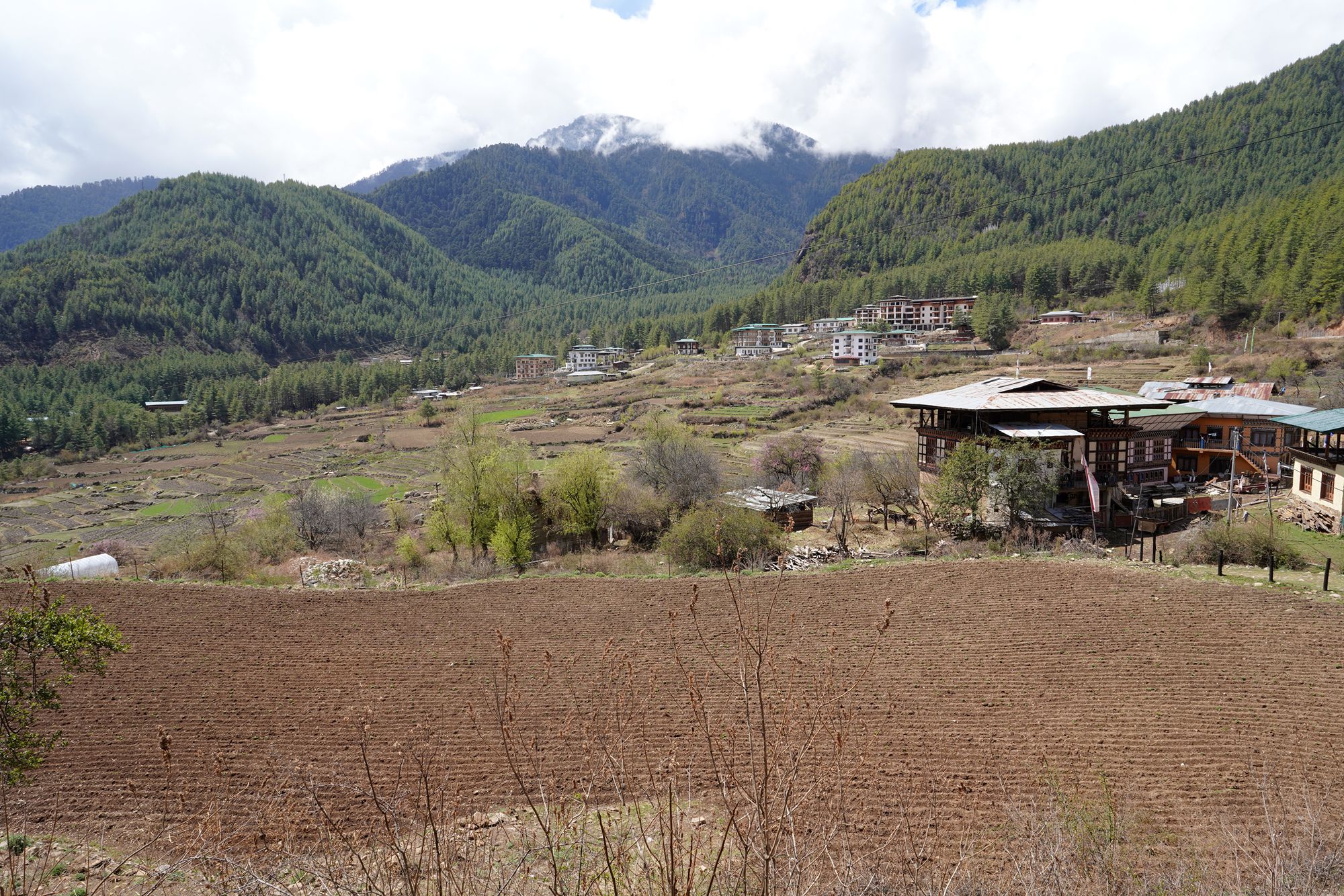 Paro City Walk (45)