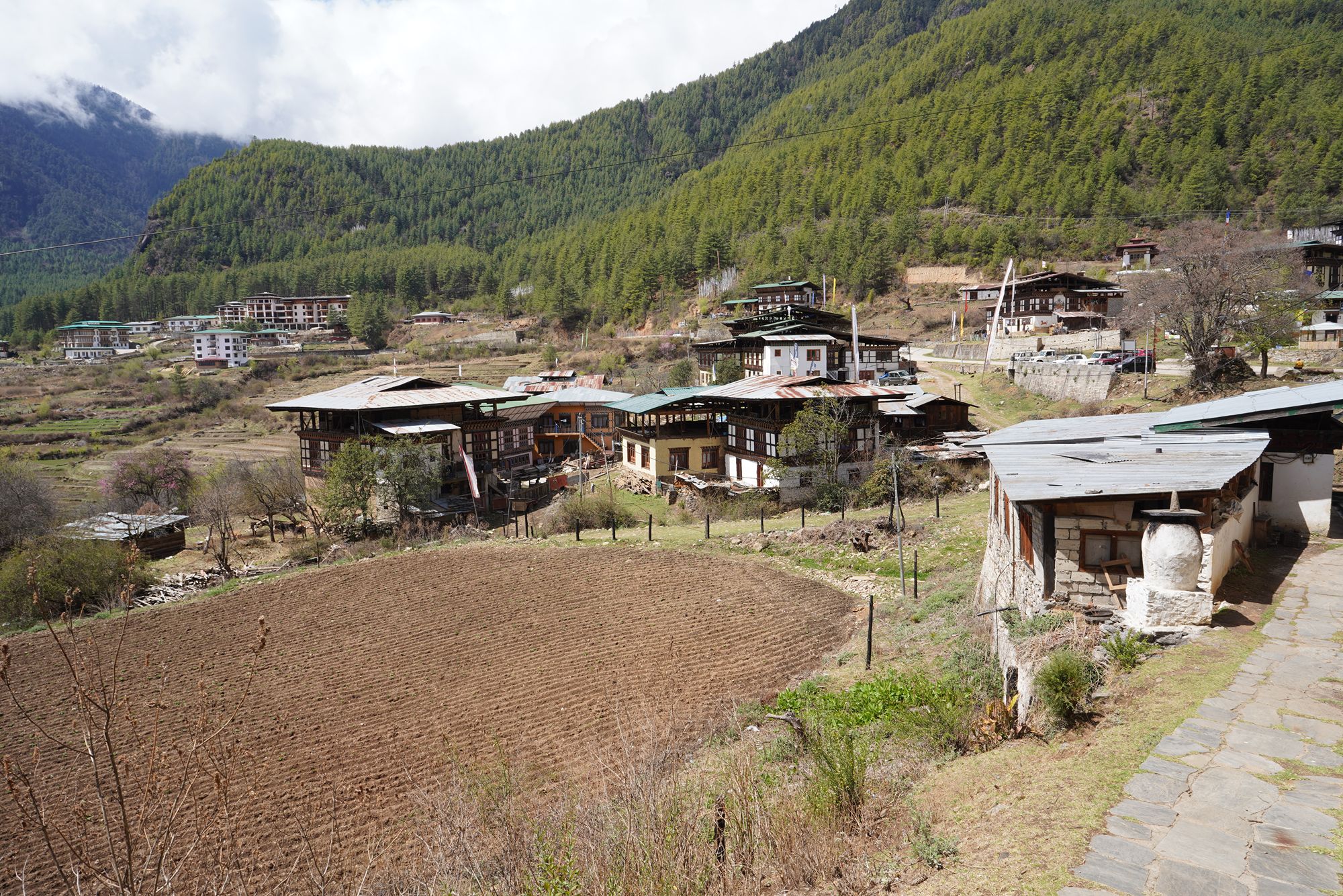 Paro City Walk (46)
